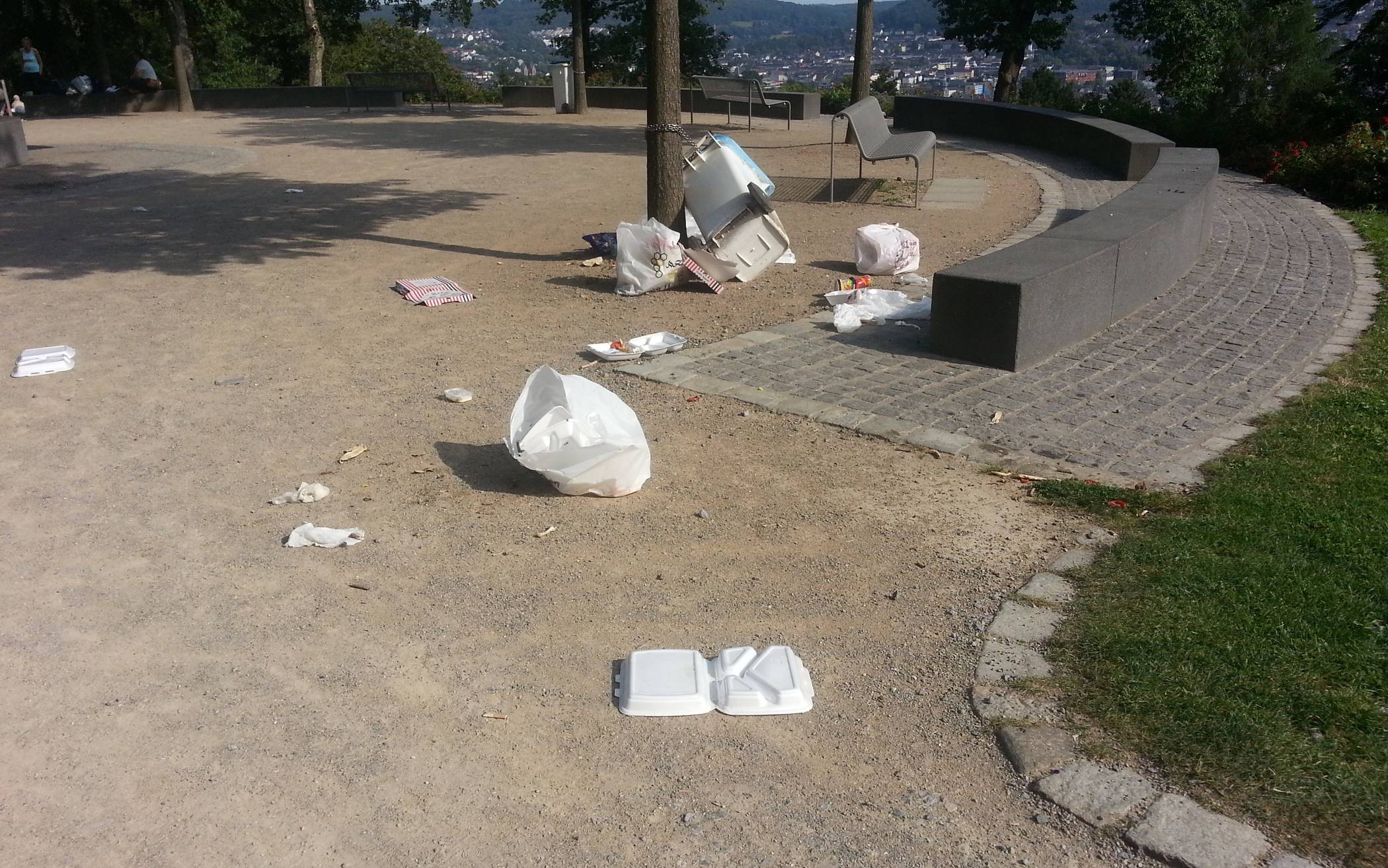 Müll im Barmer Nordpark (Symbolbild).