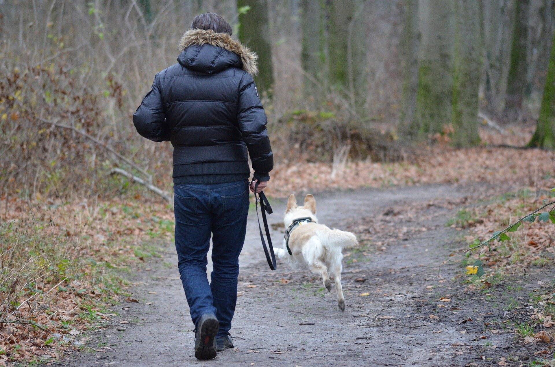 Hundesteuer in Wuppertal: Teure Tierliebe