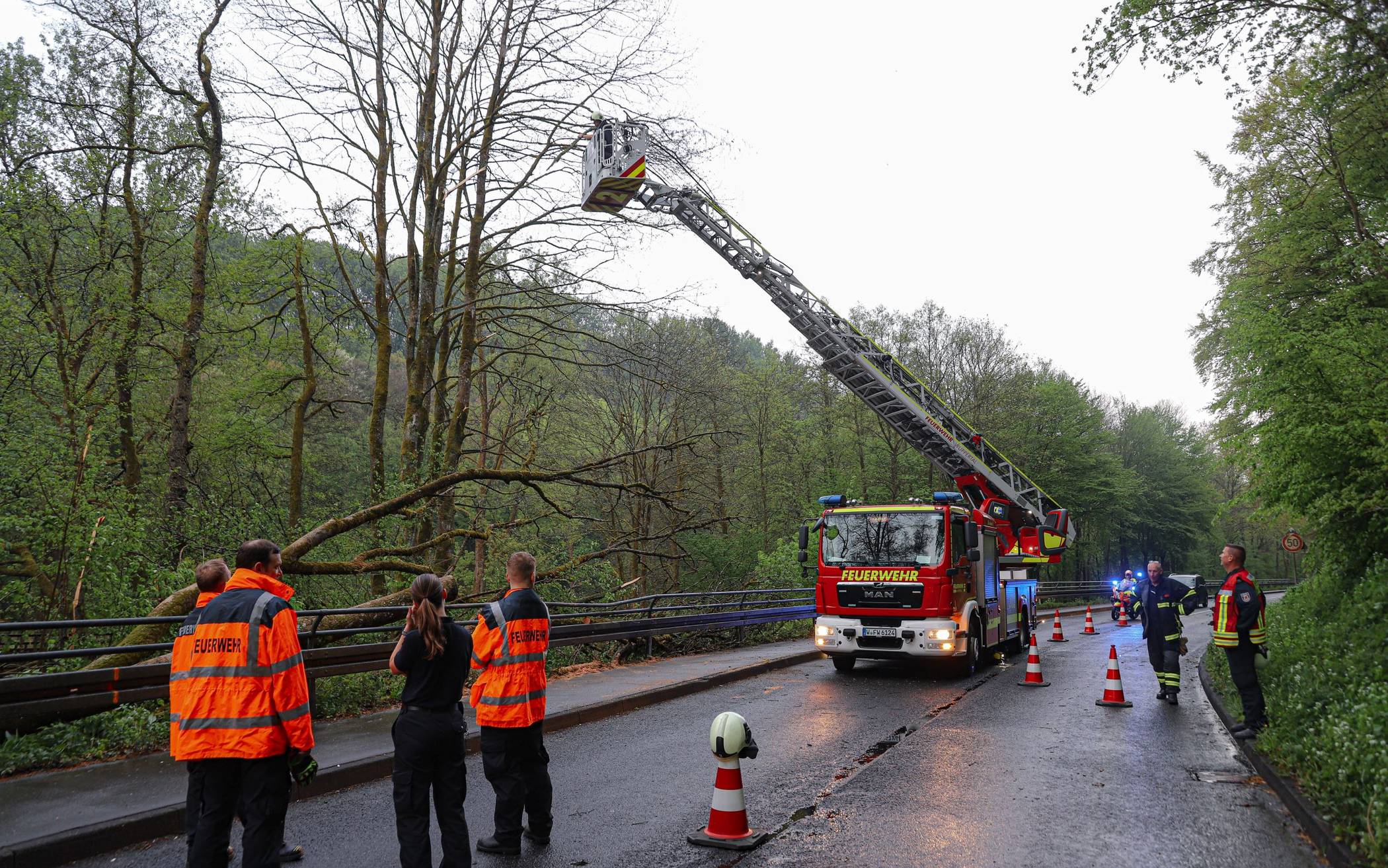 Feuerwehr entfernt umgestürzten Baum
