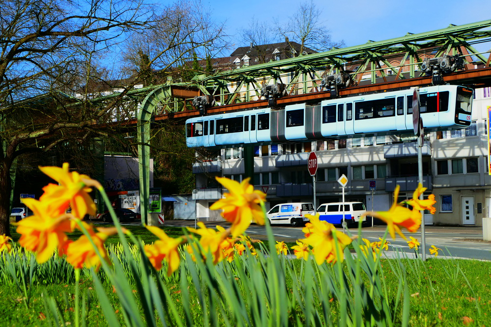 Leser-Fotos: Schönes aus Wuppertal