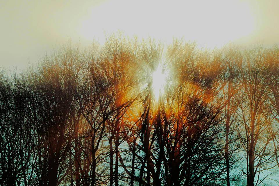 Leser-Foto: Sonne trifft Nebel