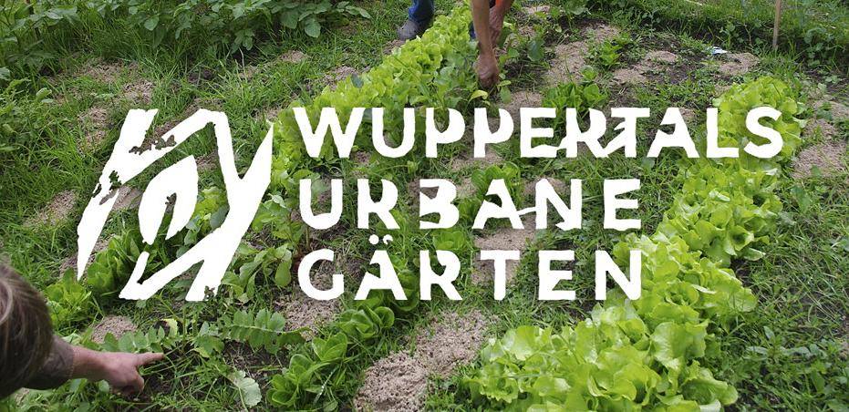 Urban-Gardening-Besuch aus Berlin