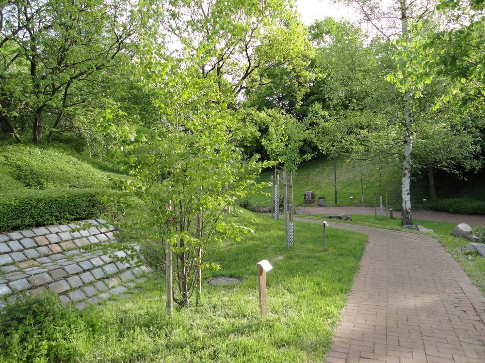 Park des Monats: Uni-Arboretum