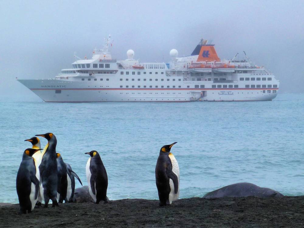 Filmische Reise in die Antarktis