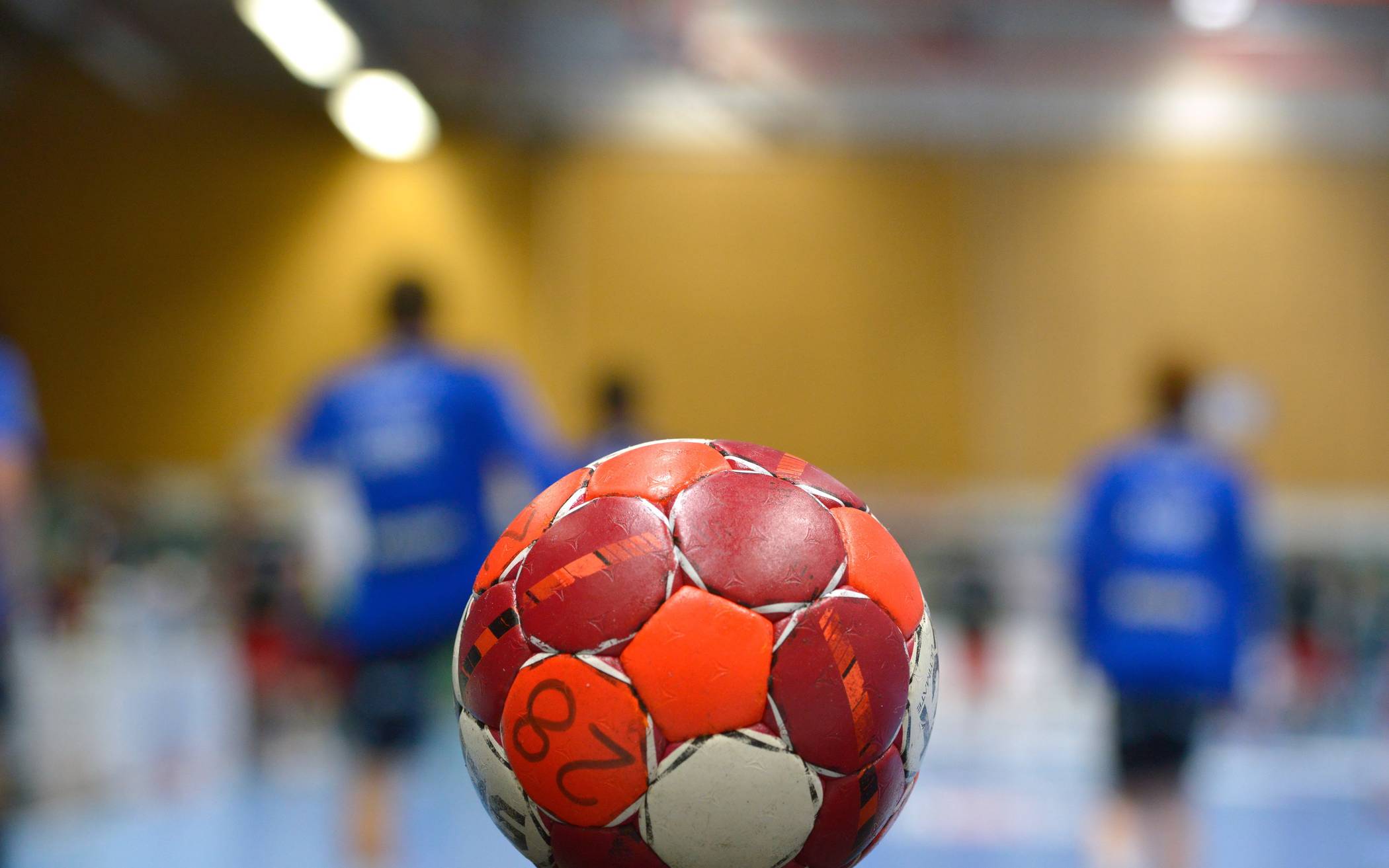 Handball: Vize-Weltmeister Max Darj (BHC) freut sich auf Deutschland