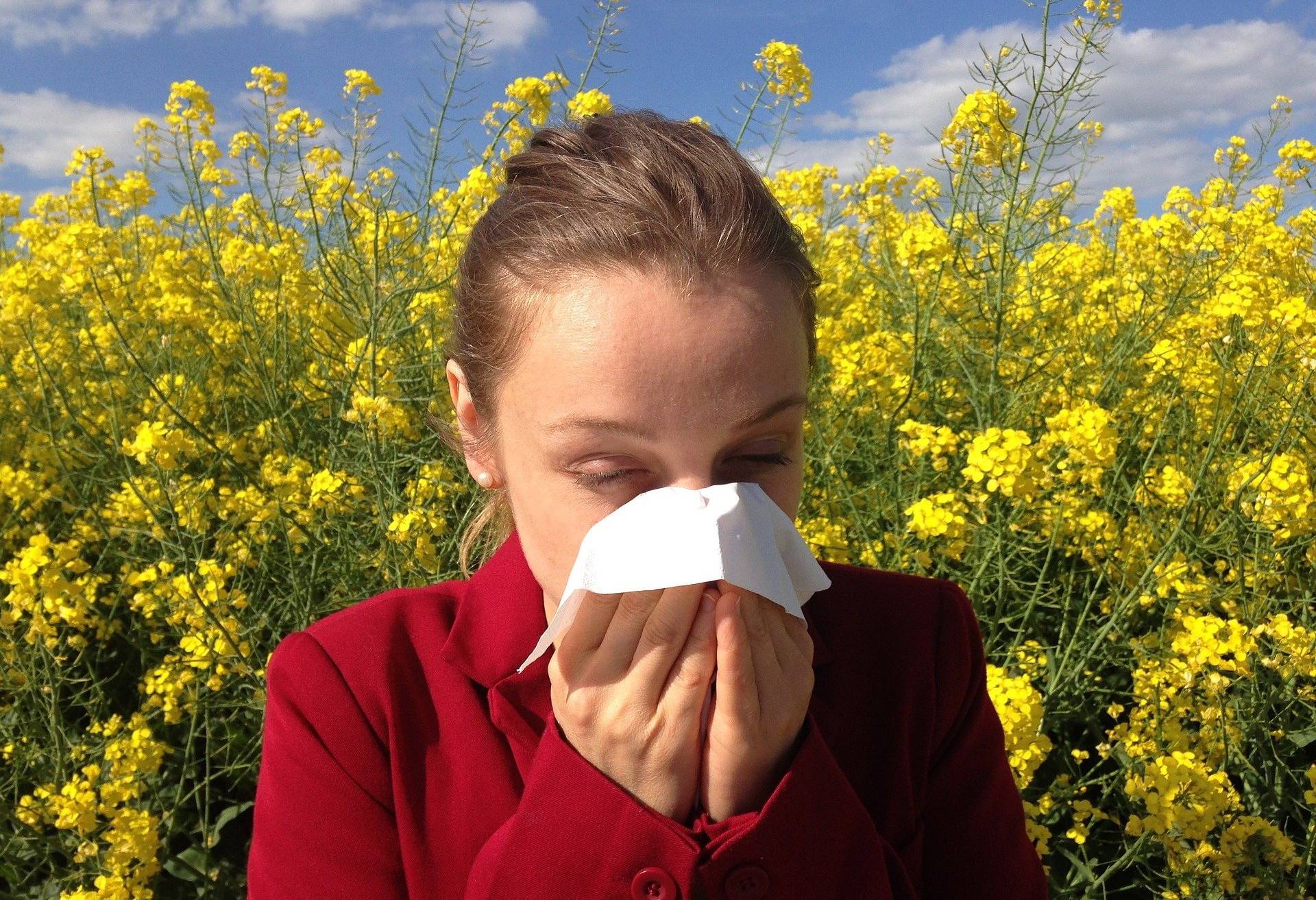 Dienstag: Online-Vortrag zum Thema Allergien