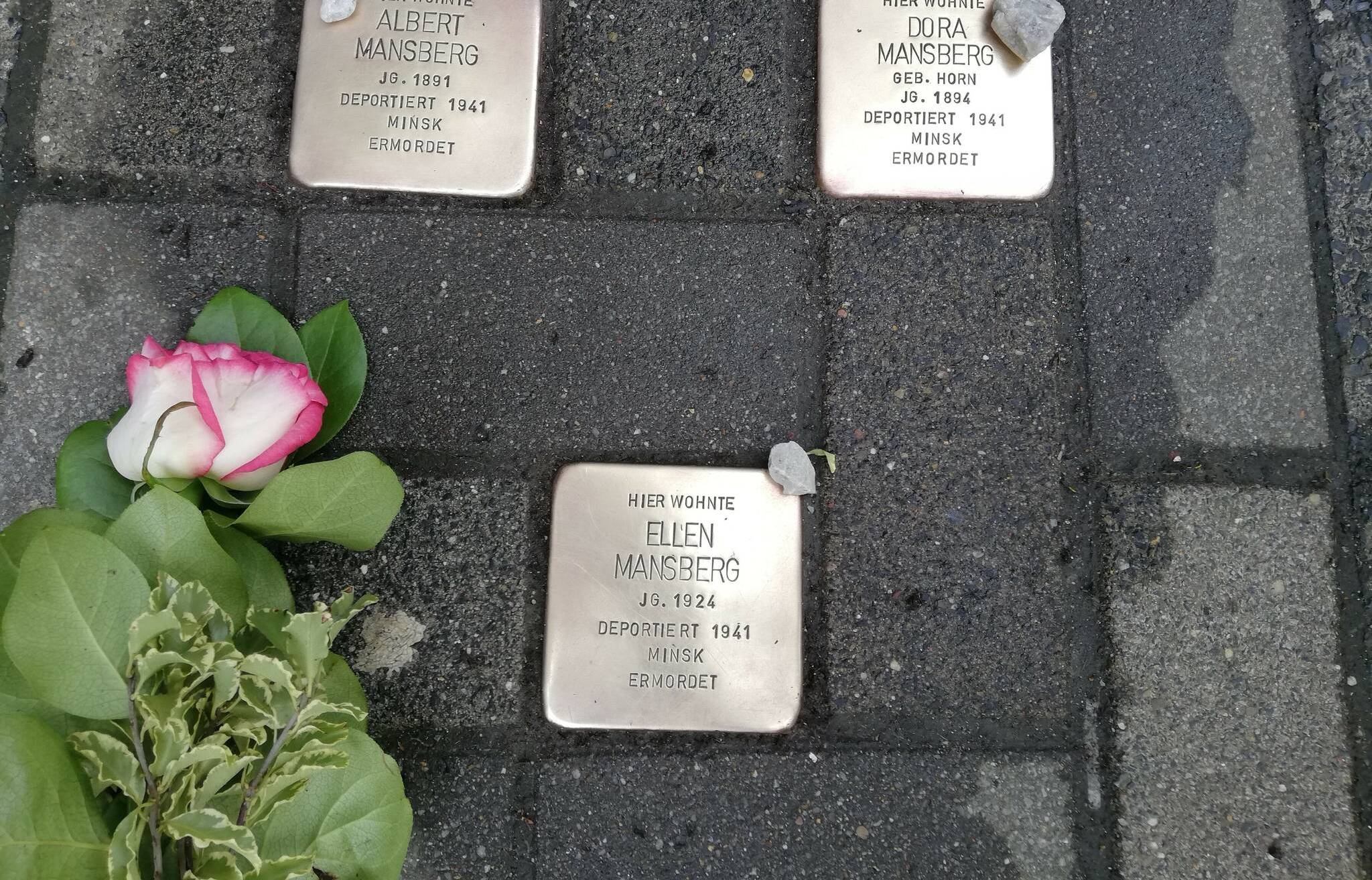  Die Stolpersteine glänzen wieder: Am 21. März säuberten drei Wuppertaler die Gedenksteine, legten Rosen ab und kleine Steine vom Gut Winkel (Spreenhagen). 