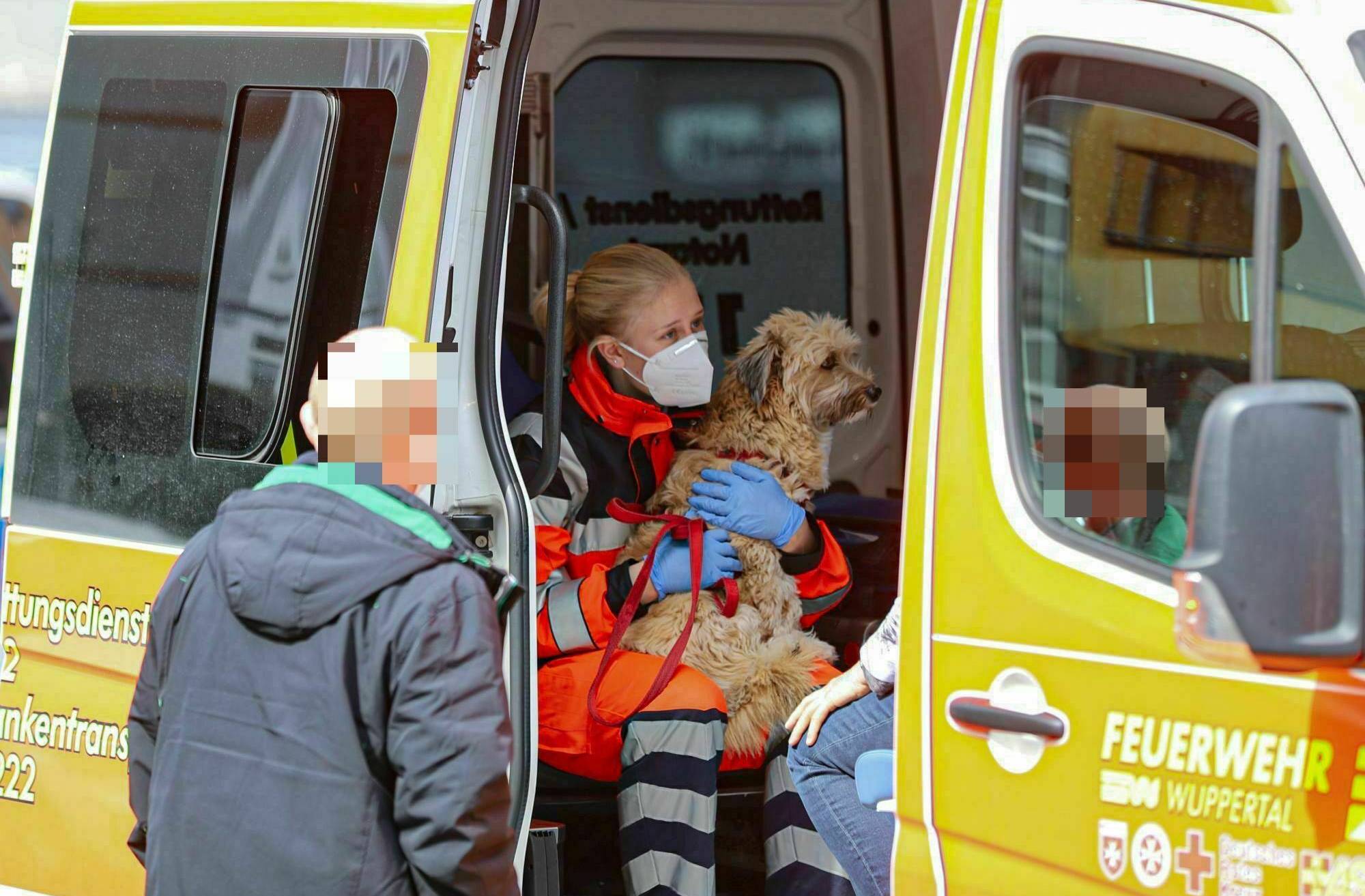 Rettungssanitäterin mit großem Herz für Hund