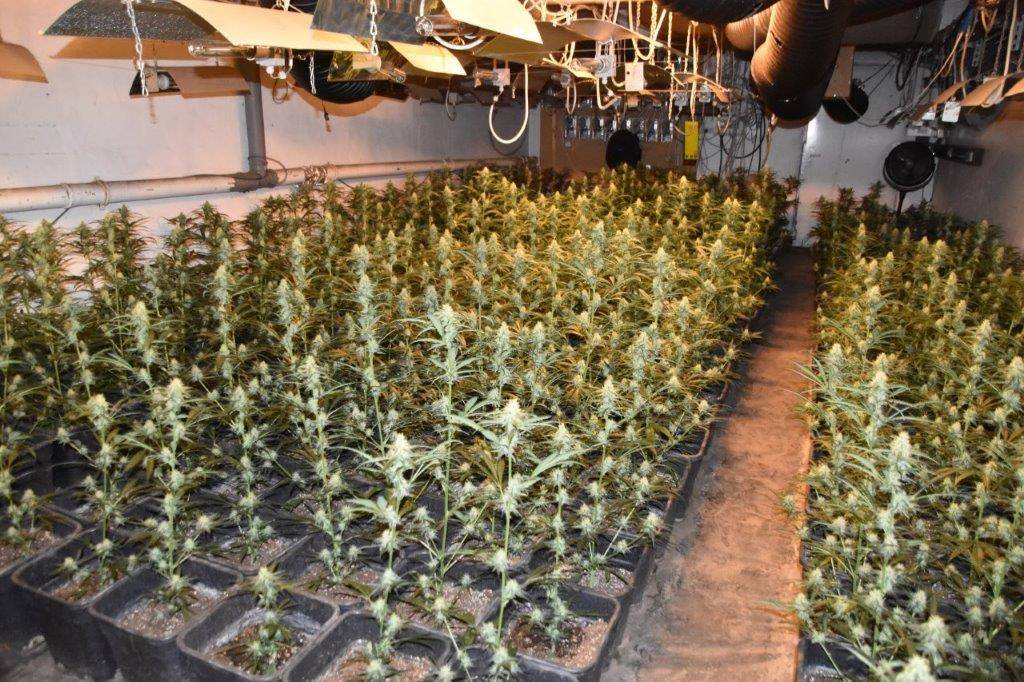 Drogenplantage in Vohwinkel entdeckt