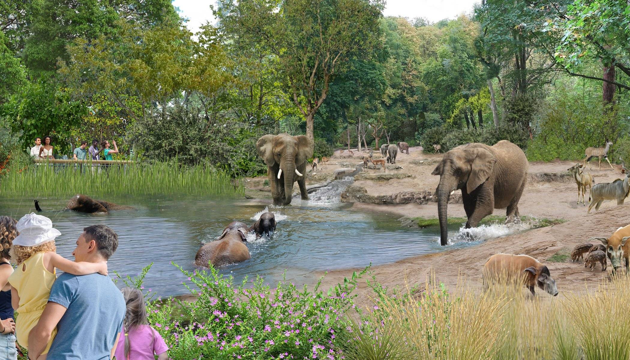 Die geplante Savanne für die Elefanten.
