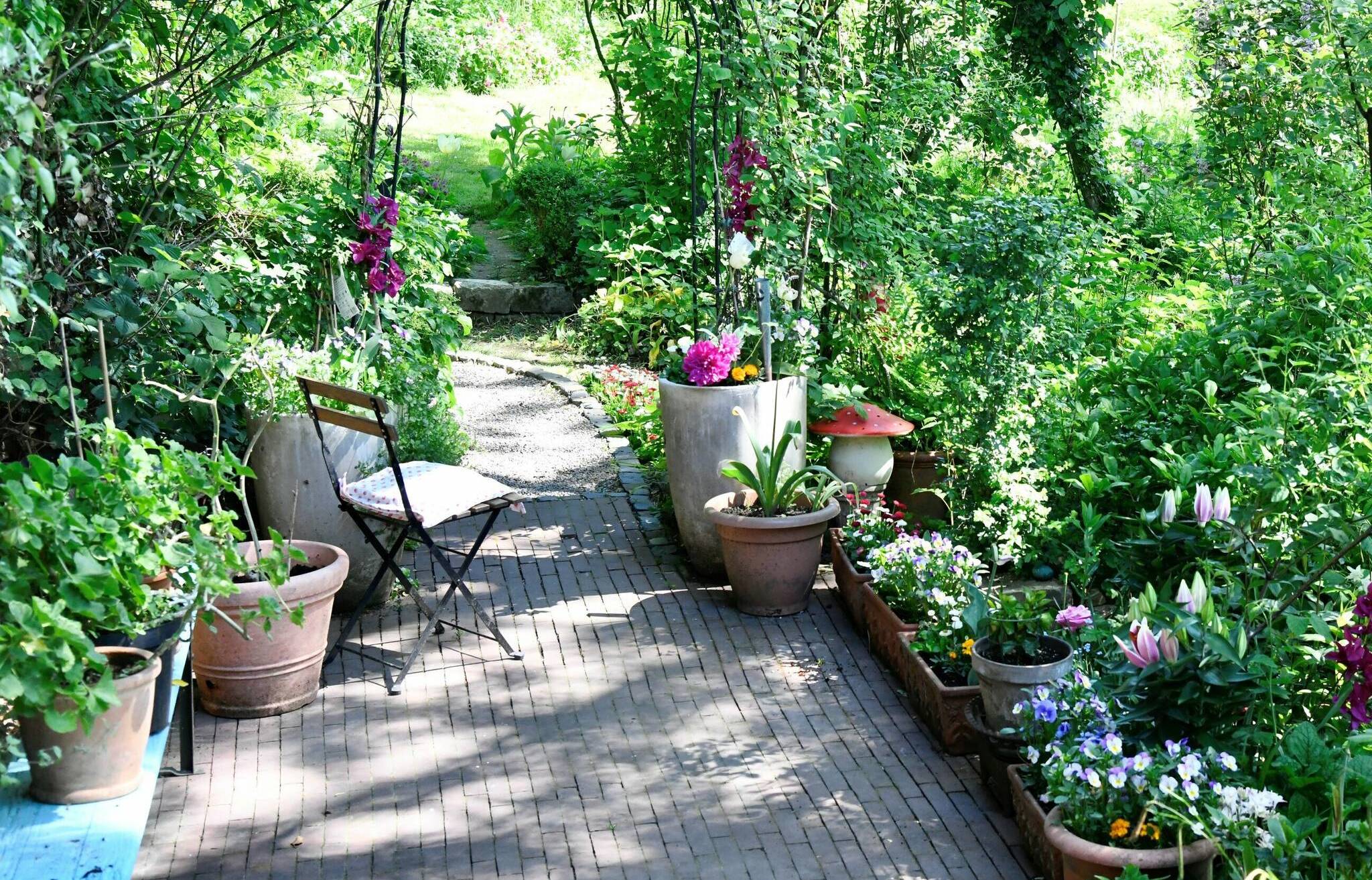  Judith Rempen: „Ich bezeichne meinen Garten als organisierte Wildnis.“ 