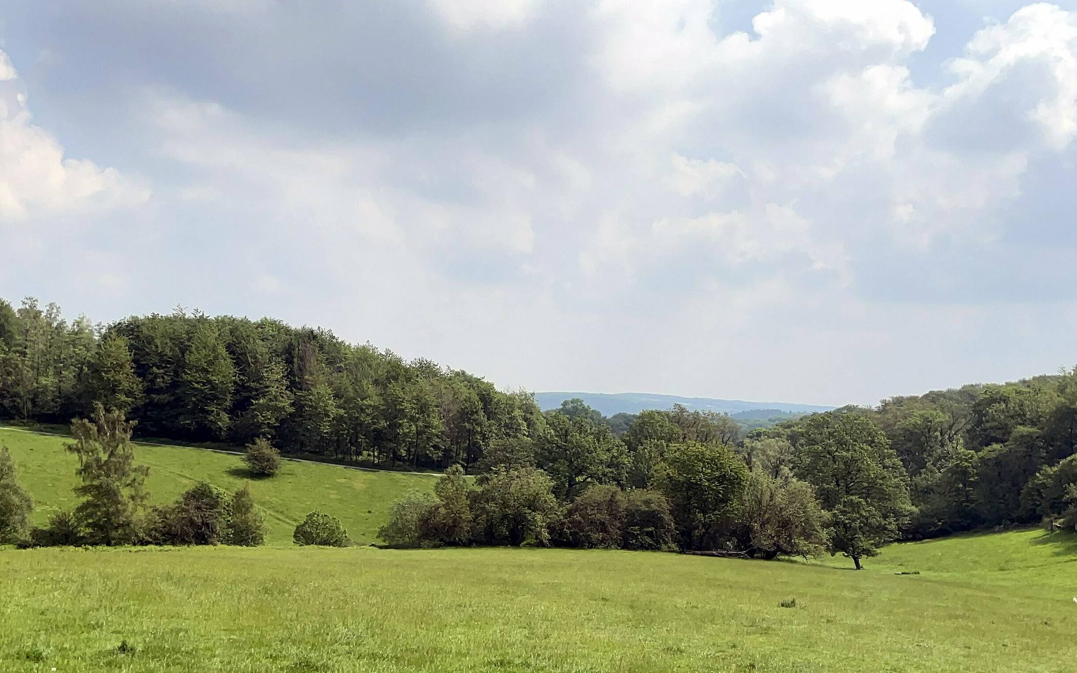  185 Hektar grüne Oase mit Konfliktpotenzial: der Scharpenacken. 