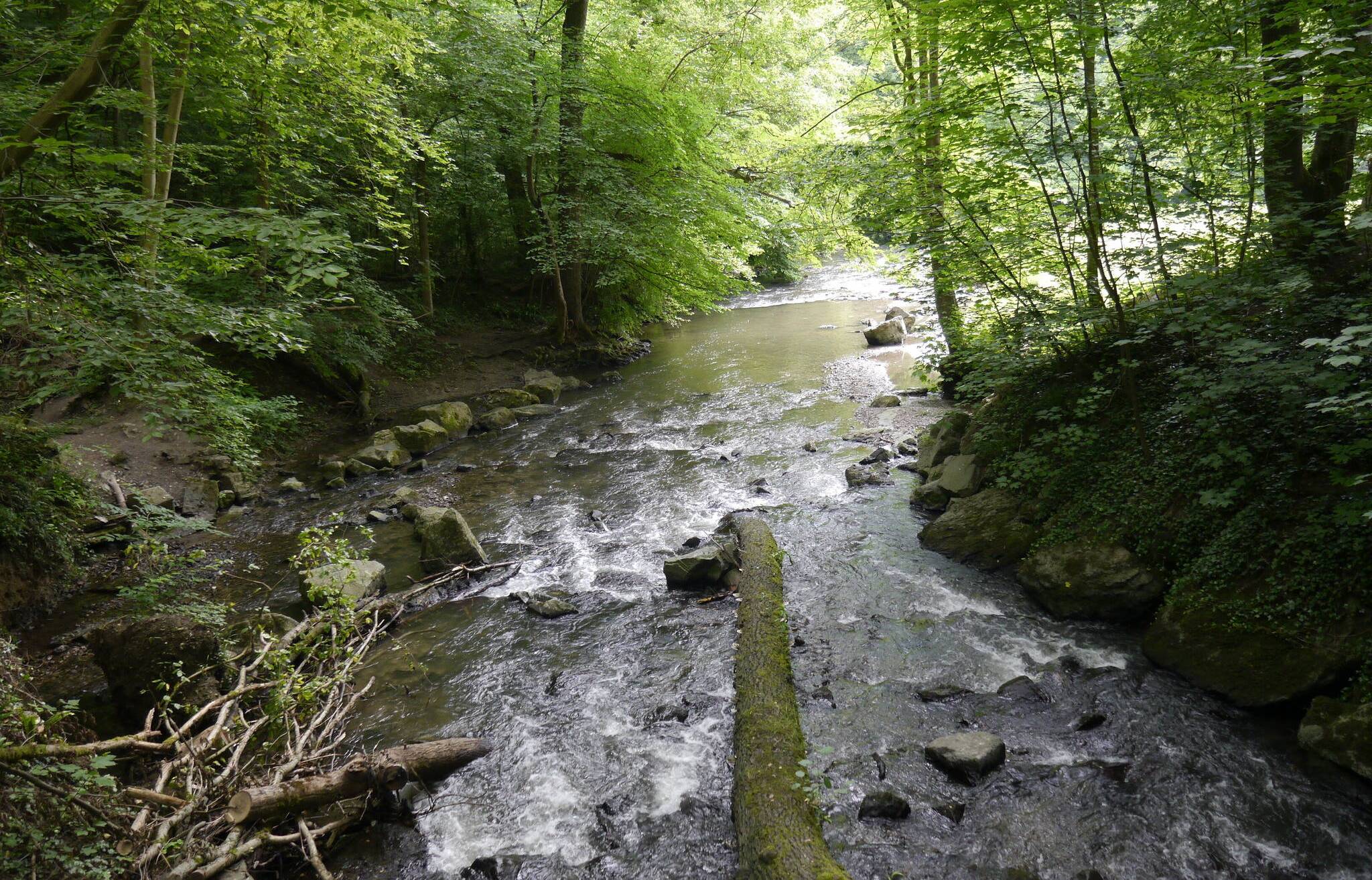  Der idyllische Düssel-Flusslauf in der Nähe des Neanderthal-Museums. 