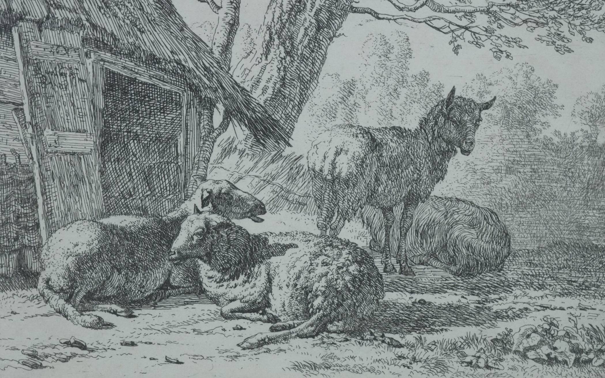 Karel Dujardin, „Die vier Schafe“.