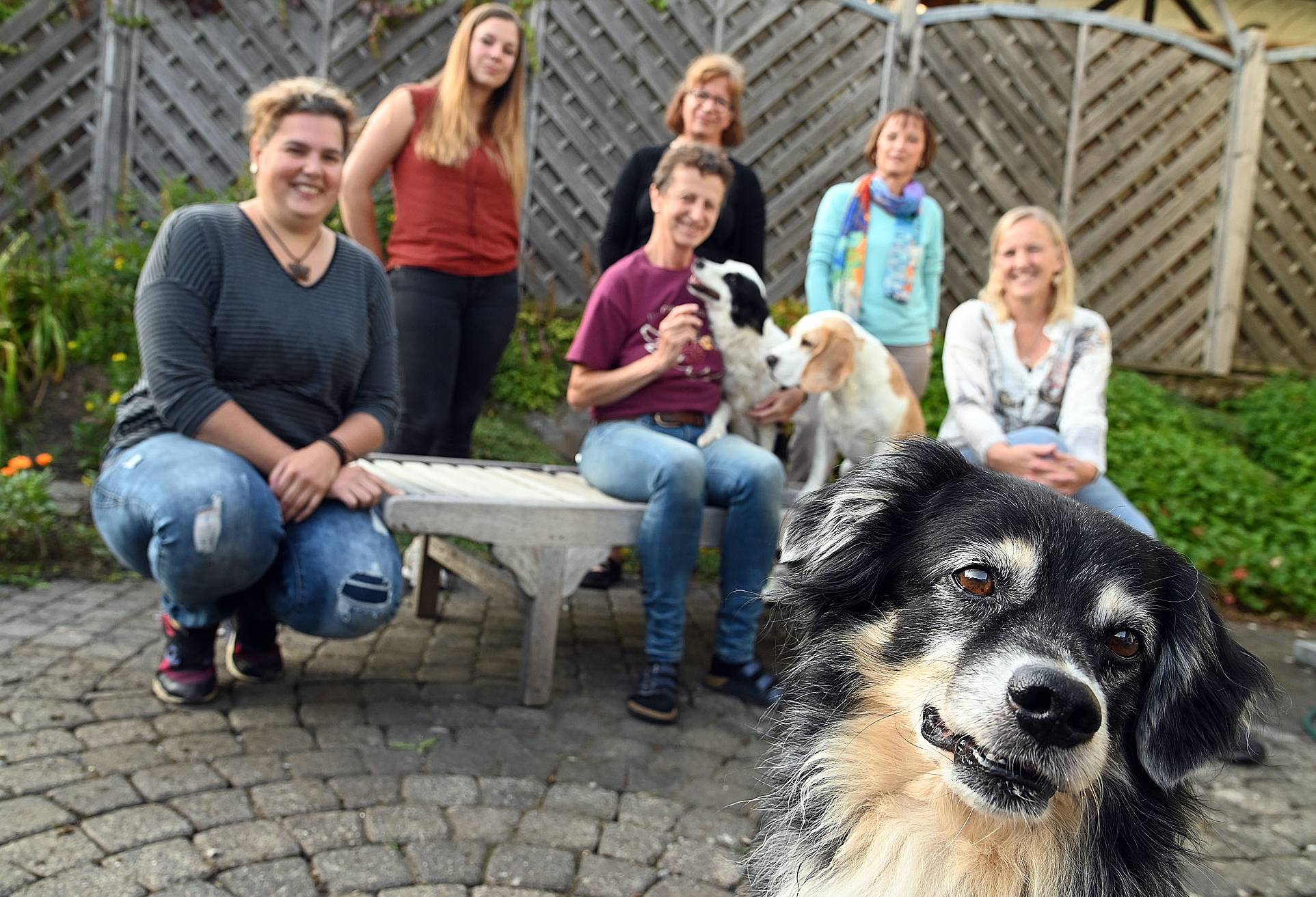  Das Team des Tierschutzvereins „Pechpfoten“ sucht ein Gelände für einen Notfall-Tierpark. 