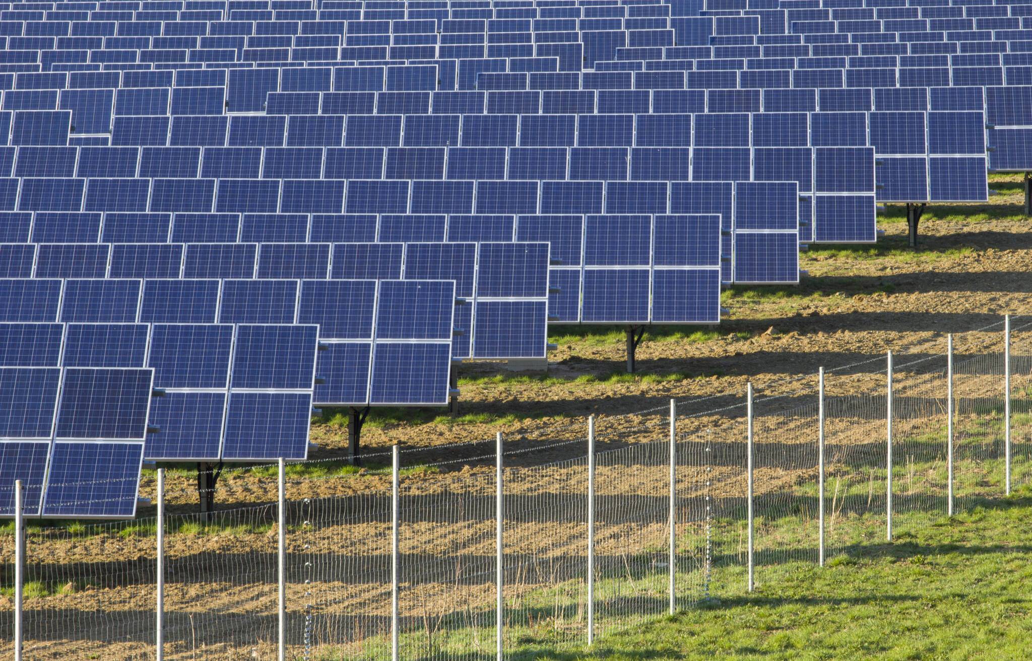 Steuern sparen und Geld verdienen: Investment in Solarparks 