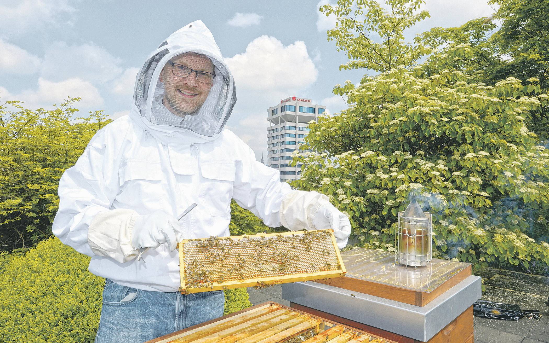  Um dem Bienensterben entgegenzuwirken, hat die Sparkasse Wuppertal auf dem Dach des Neubaus in Elberfeld Bienen angesiedelt. 