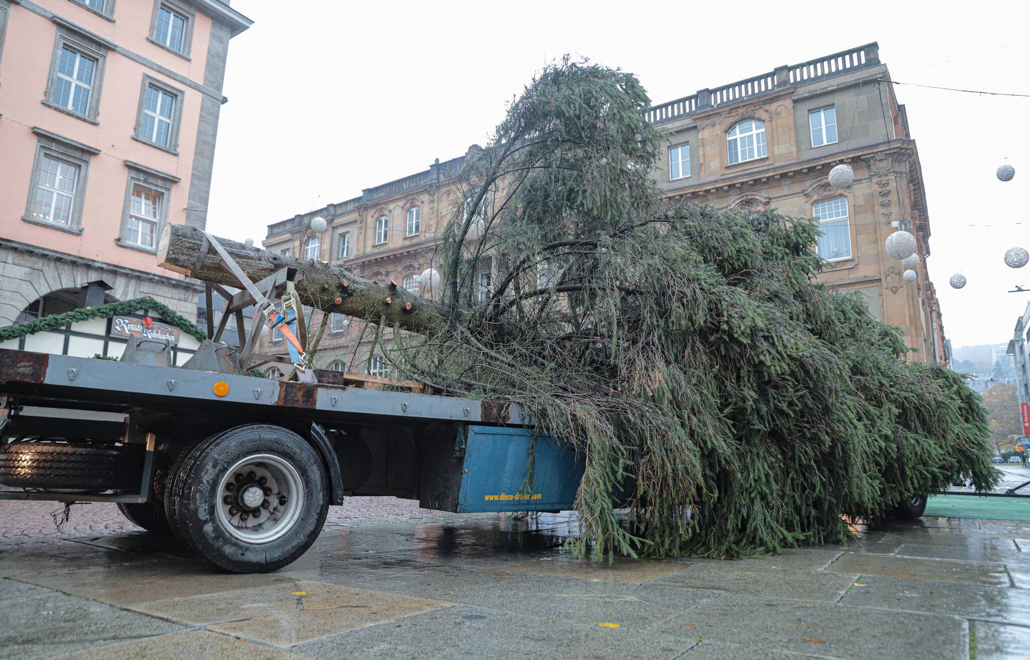 Wuppertal: Barmer Weihnachtsbaum angeliefert