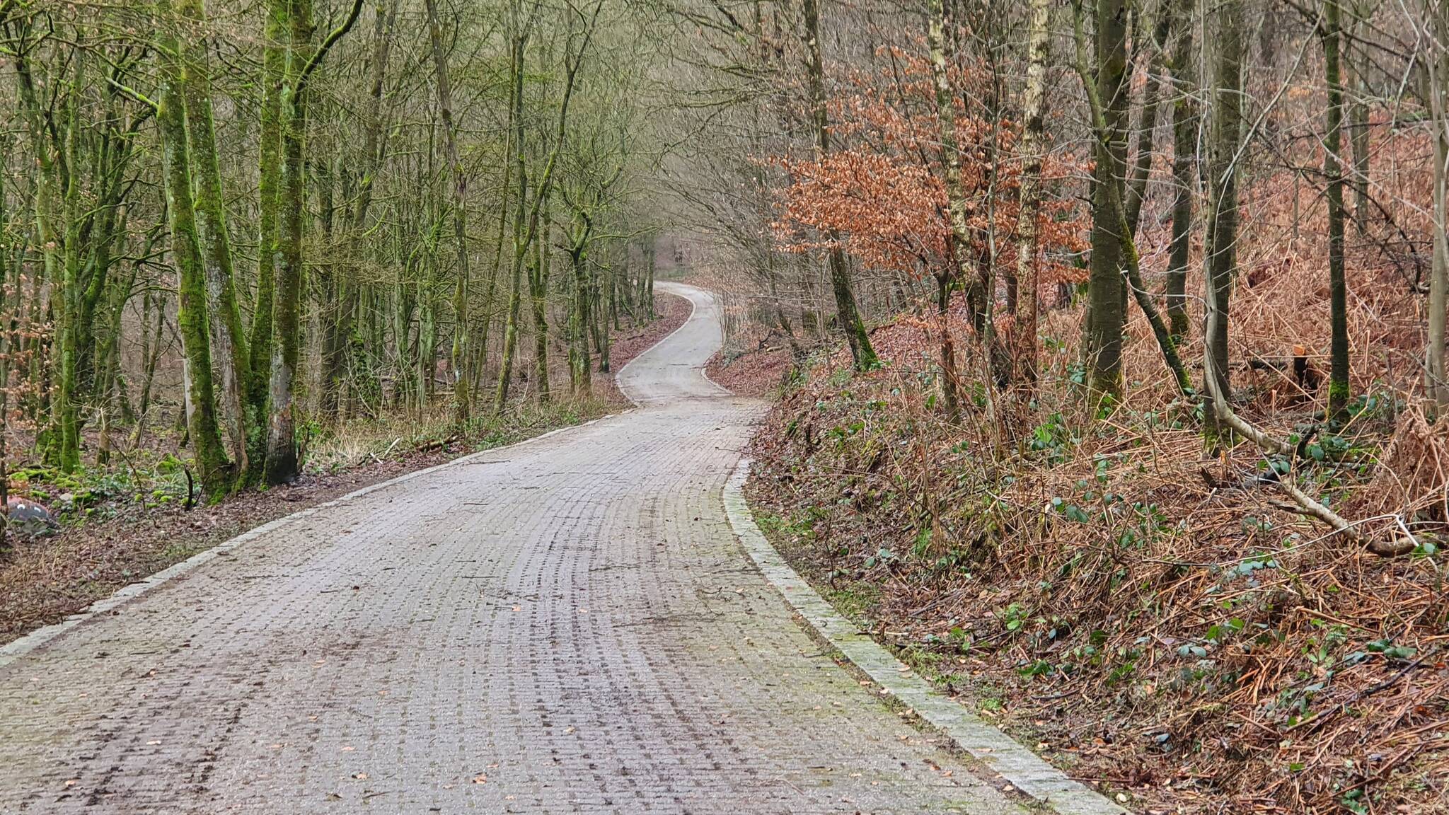  Drei Kilometer lang schlängelt sich der alte Militärweg vom Kupferhammer Richtung Ronsdorfer Anlagen. 