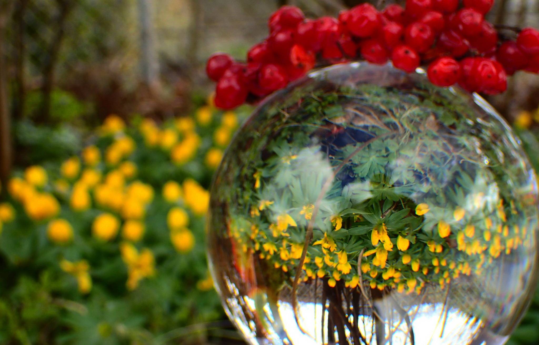 Die ersten Boten sind längst da.