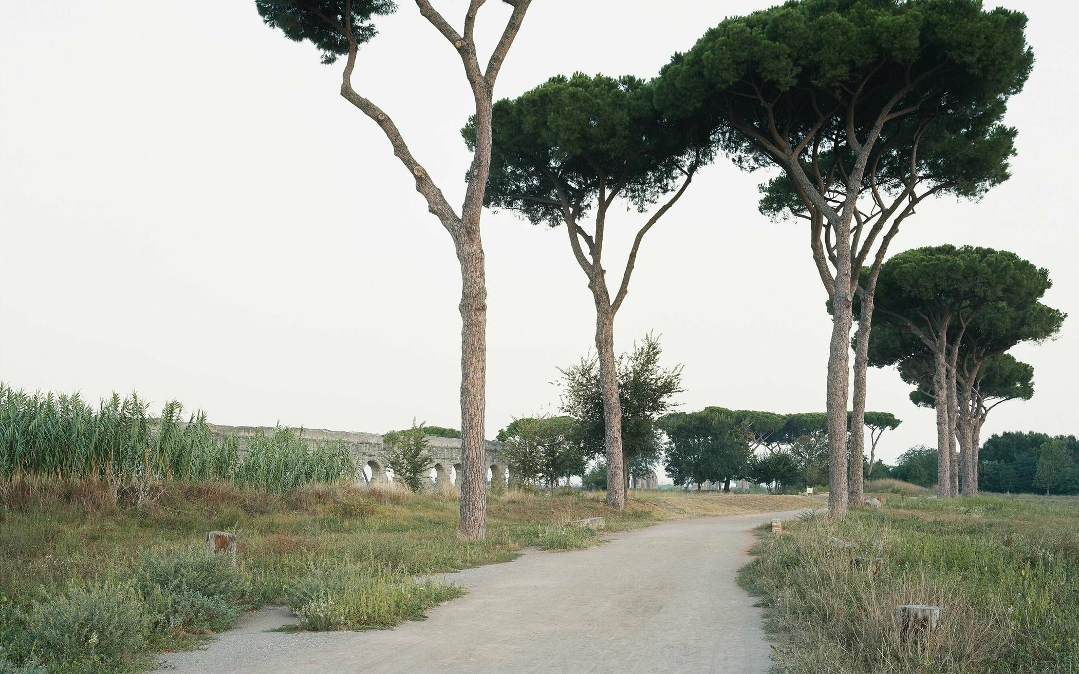  Hans-Christian Schink, „Parco degli Acquedotti (I)“ aus der Serie „Aqua Claudia“ aus dem Jahr 2014. 