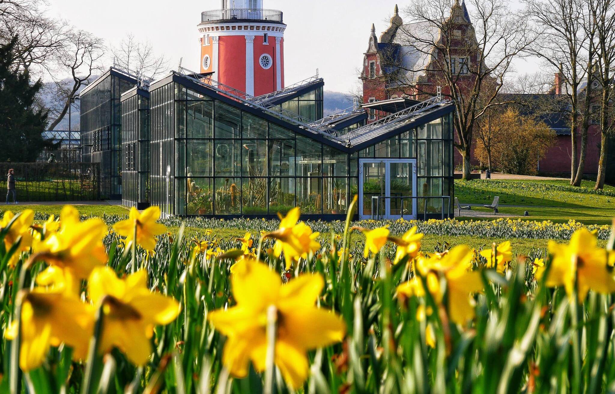 Frühling auf Wuppertaler Hardt: Bunte Blumen und schöner Blick ins Tal