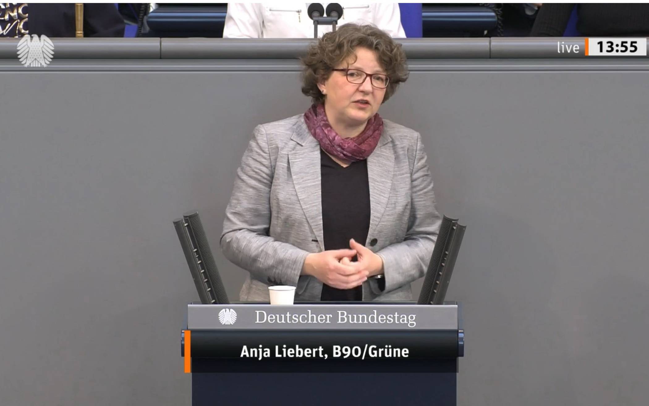  Anja Liebert während ihrer Rede im Bundestag. 