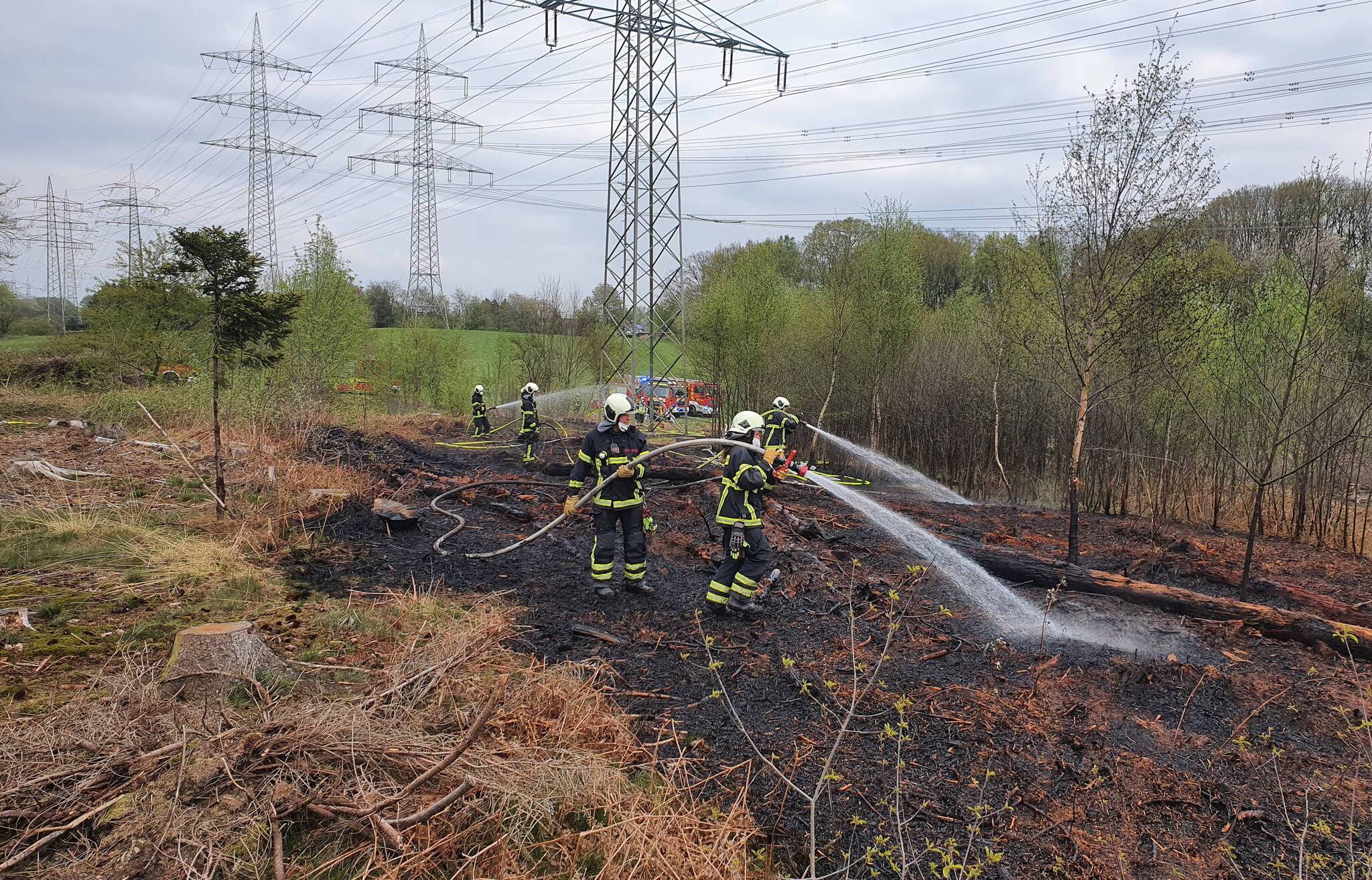 Feuerwehr grenzt Vegetationsbrand ein