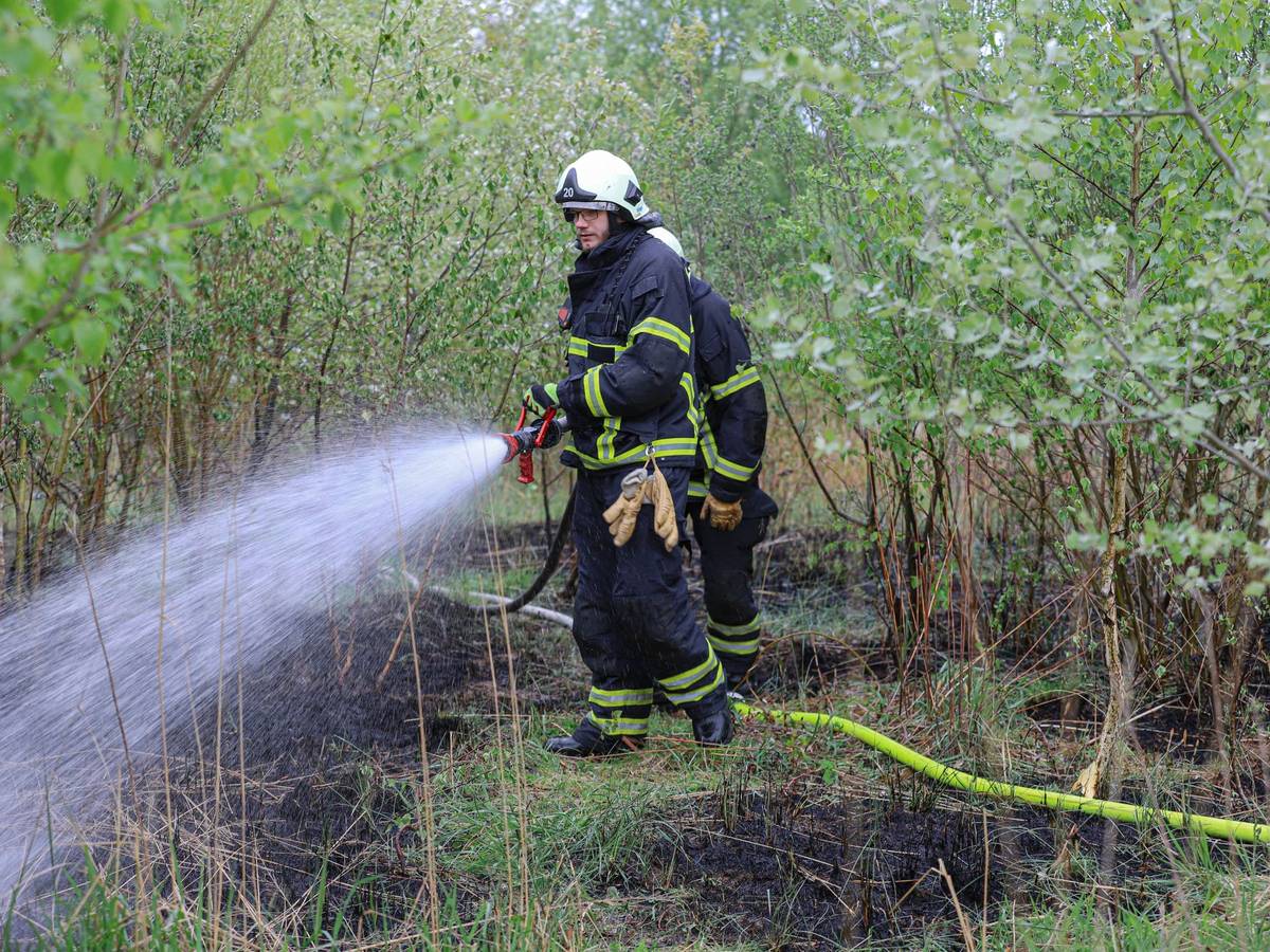 Feuerwehr löscht Wiesenbrand in Vohwinkel
