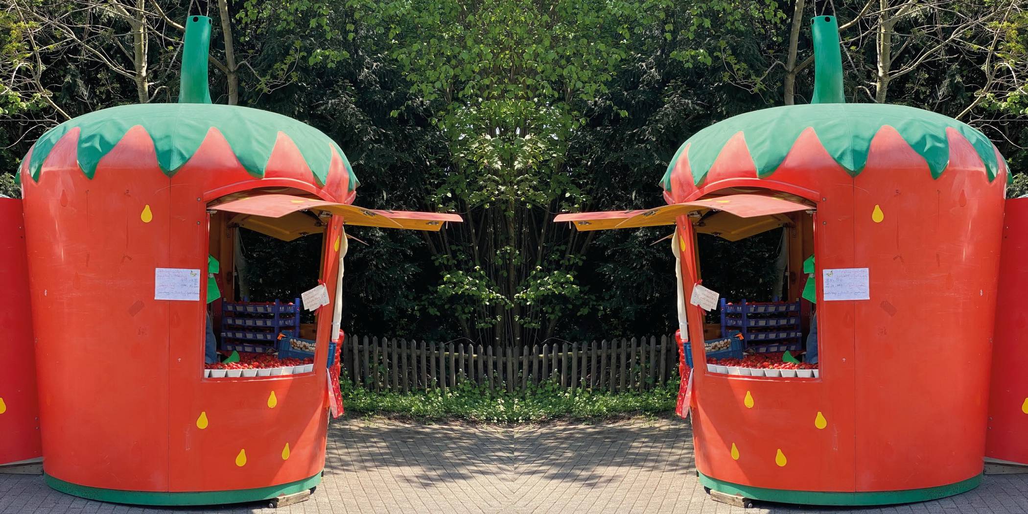  Der Verkaufsstand ist schon von Weitem bestens zu erkennen. 