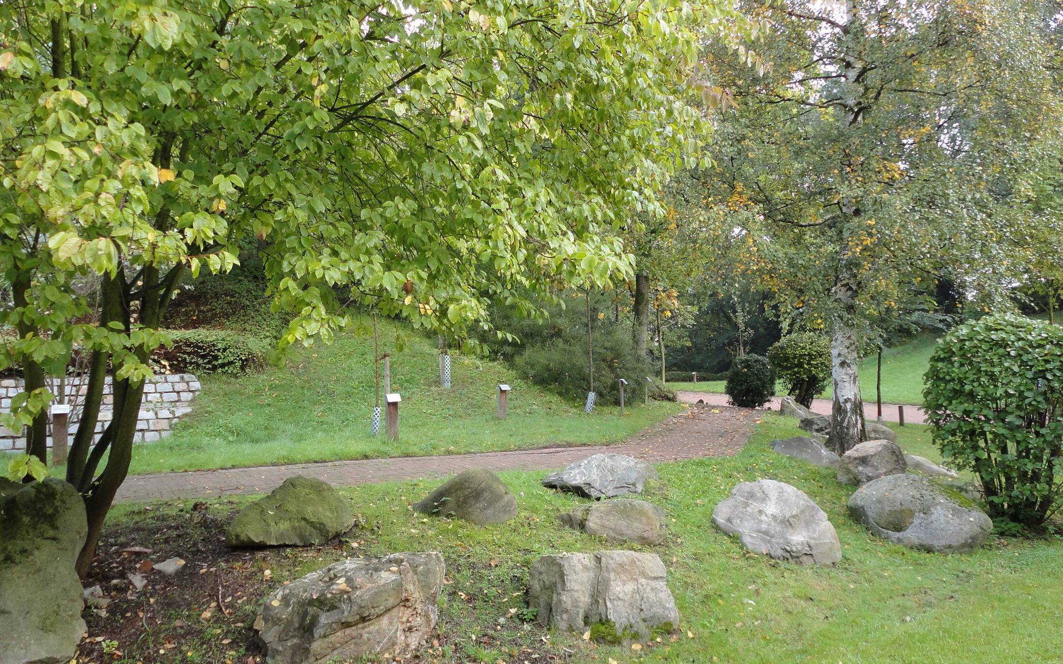  Das Uni-Arboretum auf dem Campus Grifflenberg umfasst aktuell 102 Baum- und Straucharten. 