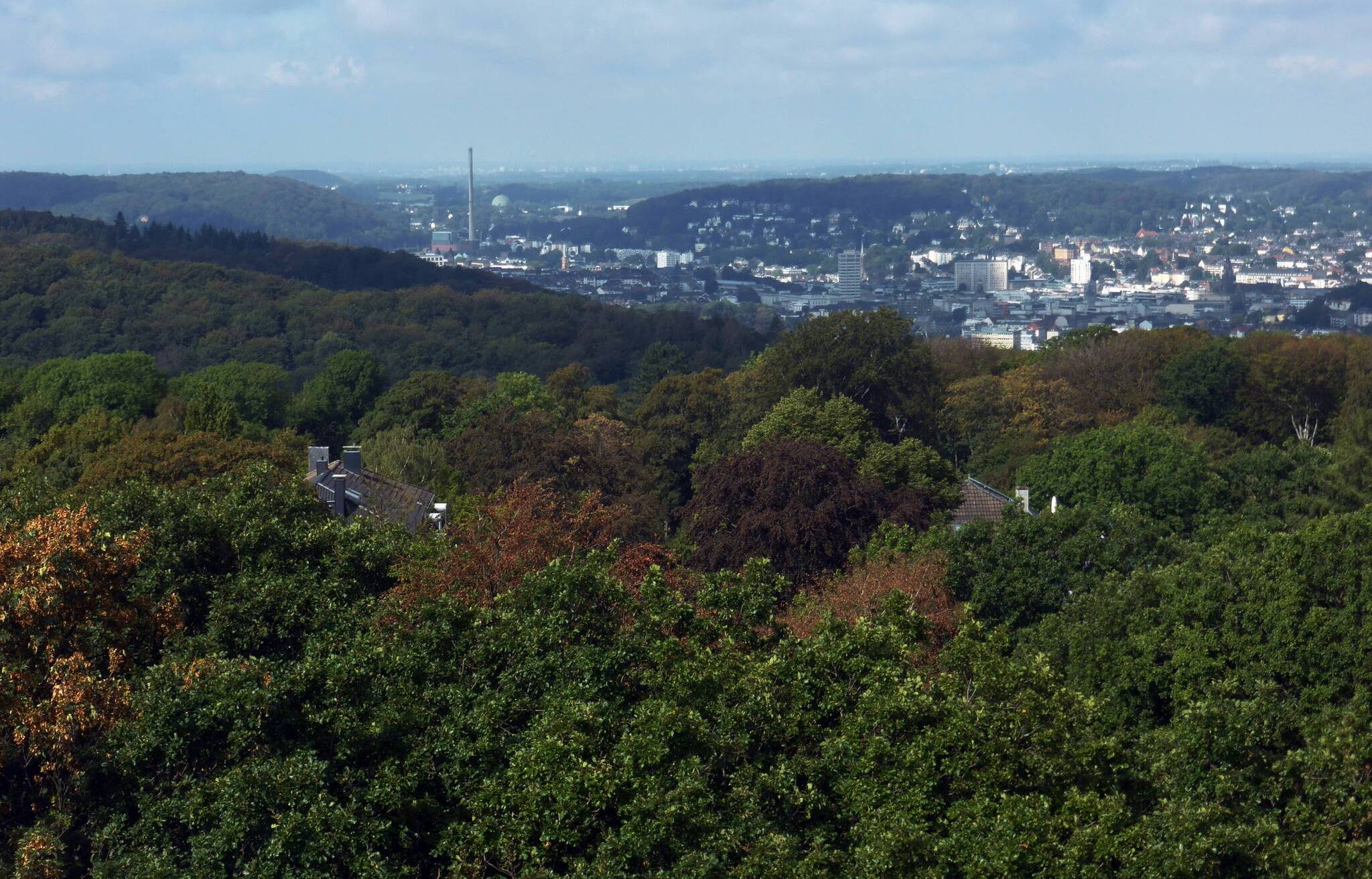 Blick vom Toelleturm.