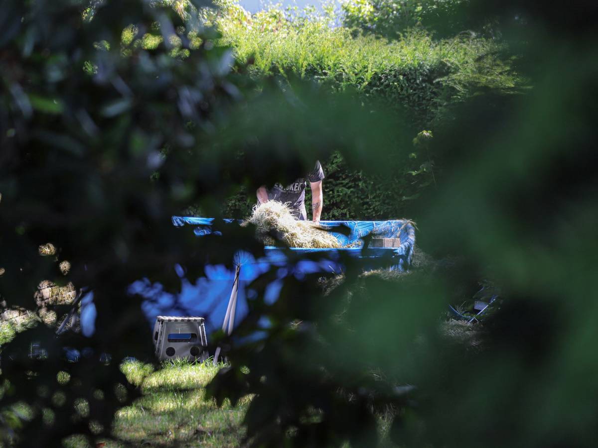 Strohballen landeten in Gartenpool
