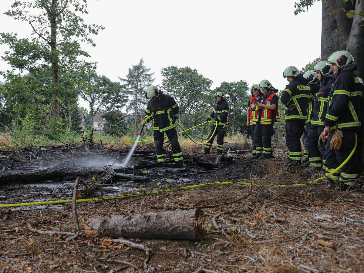 Feuerwehr stoppt Wiesenbrand
