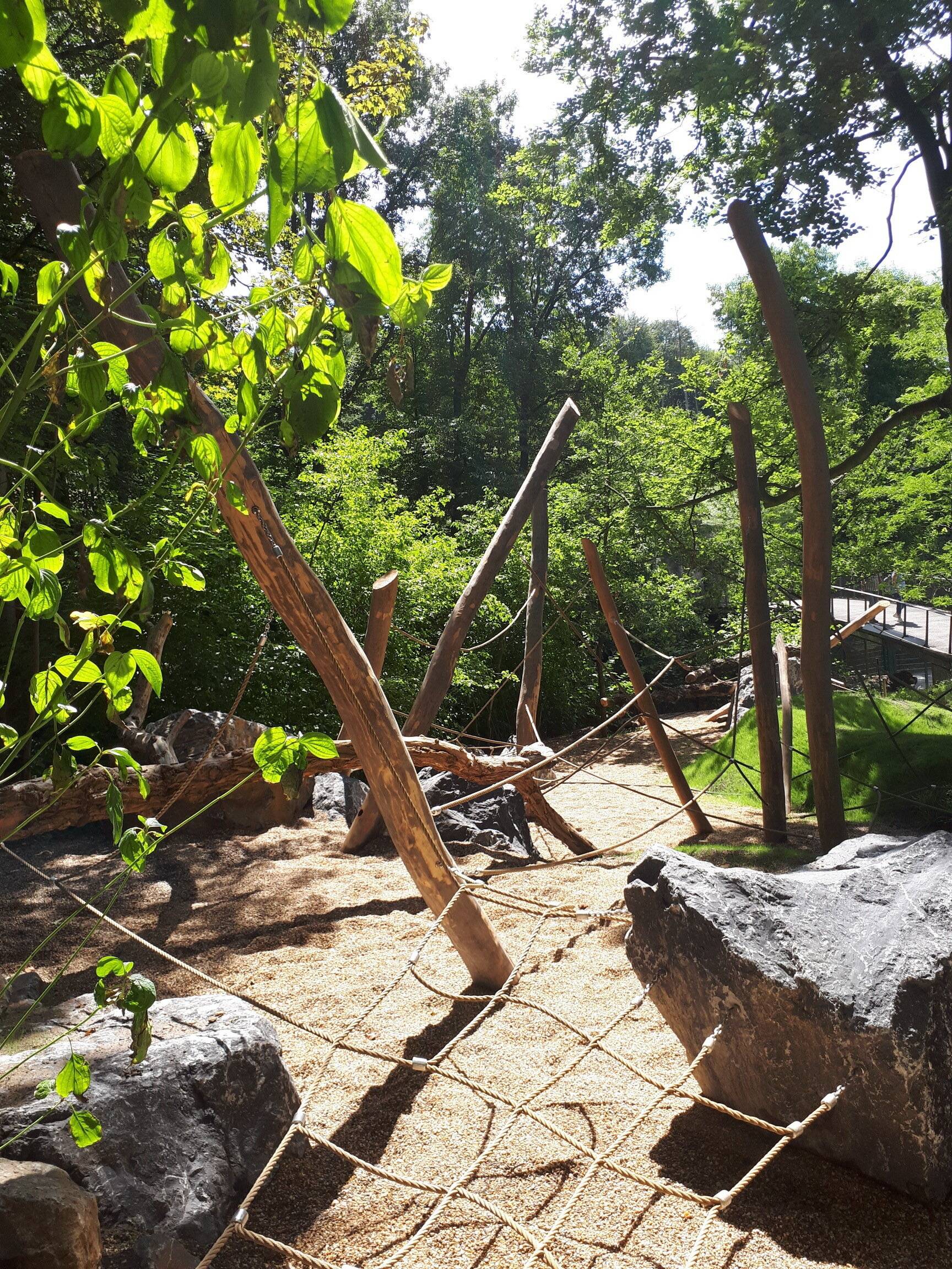 Natur pur zum Spielen.