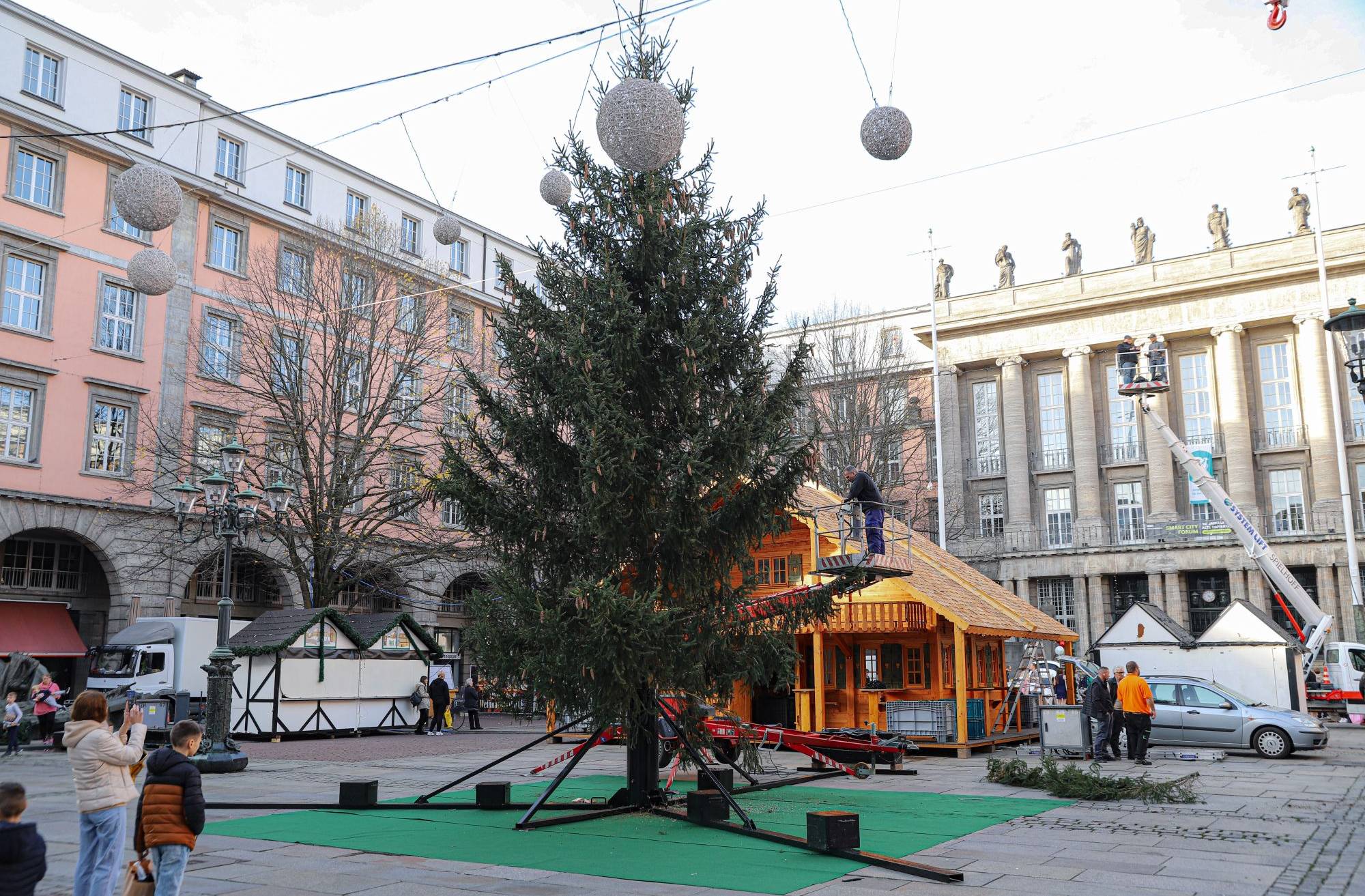 Der Weihnachtsbaum steht nun vor dem Rathaus