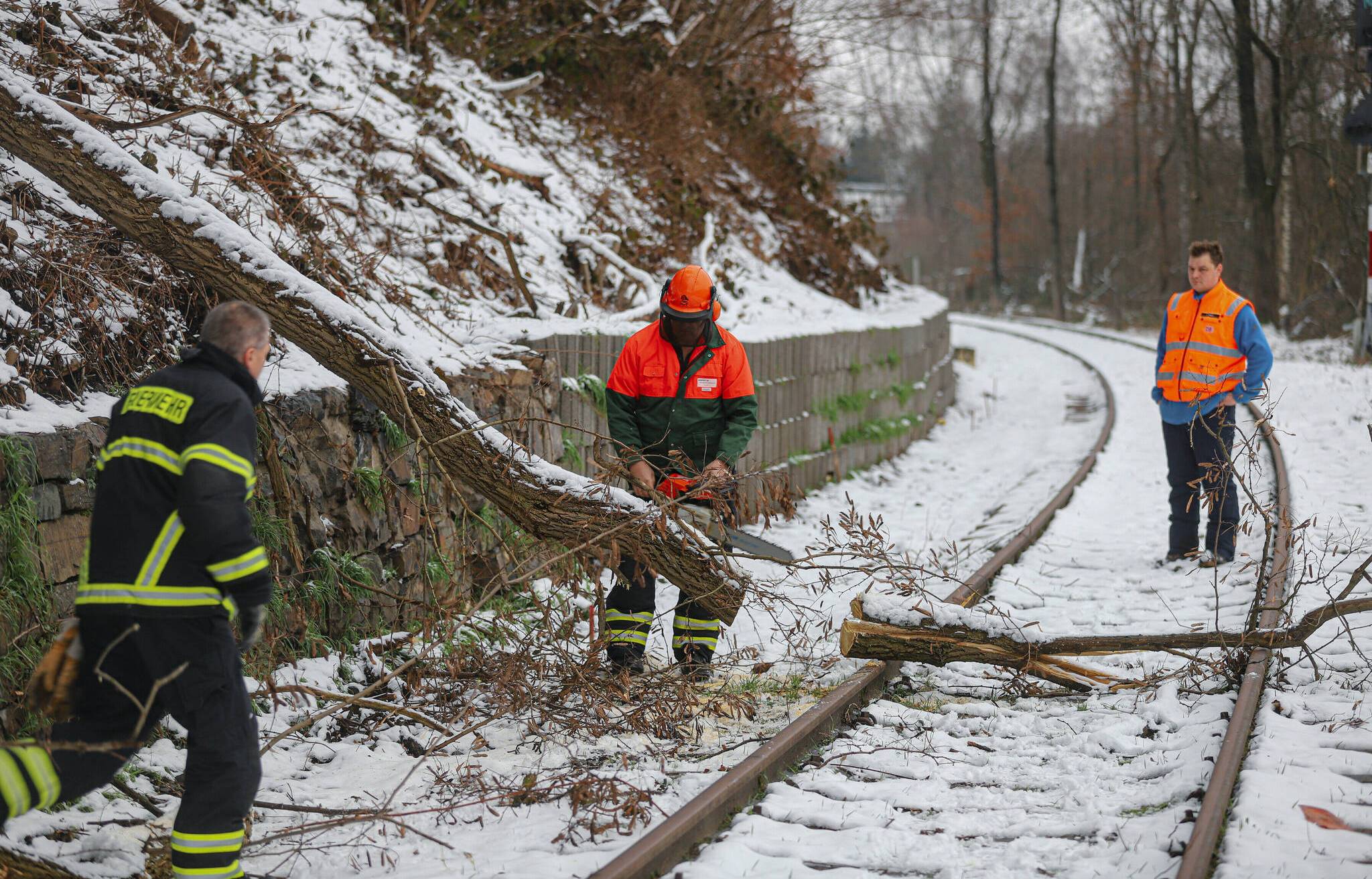 Feuerwehr entfernt Baum von Gleisen