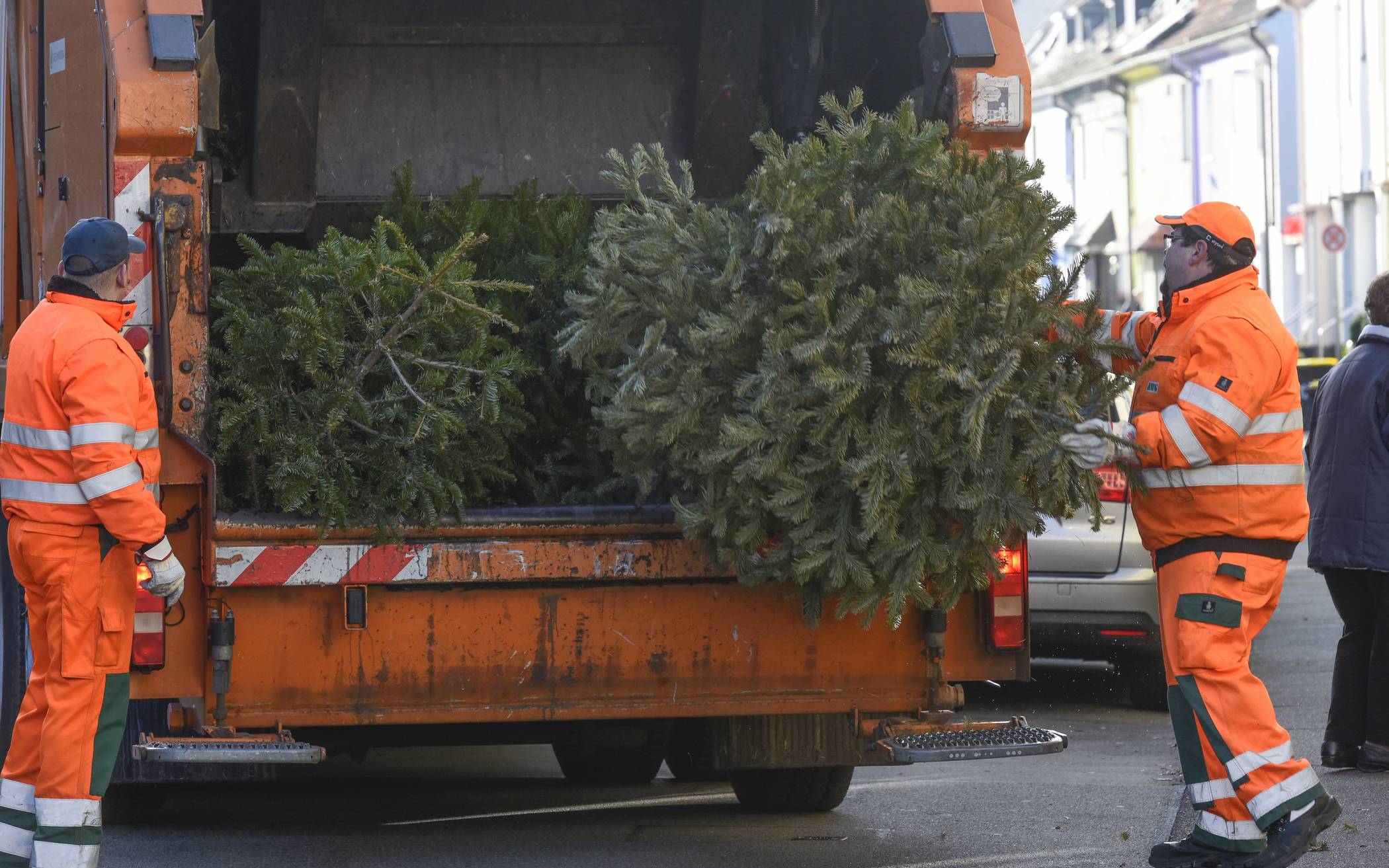  Die von der Wuppertaler Müllabfuhr eingesammelten Weihnachtsbäume werden später zu wertvollem Kompost. 