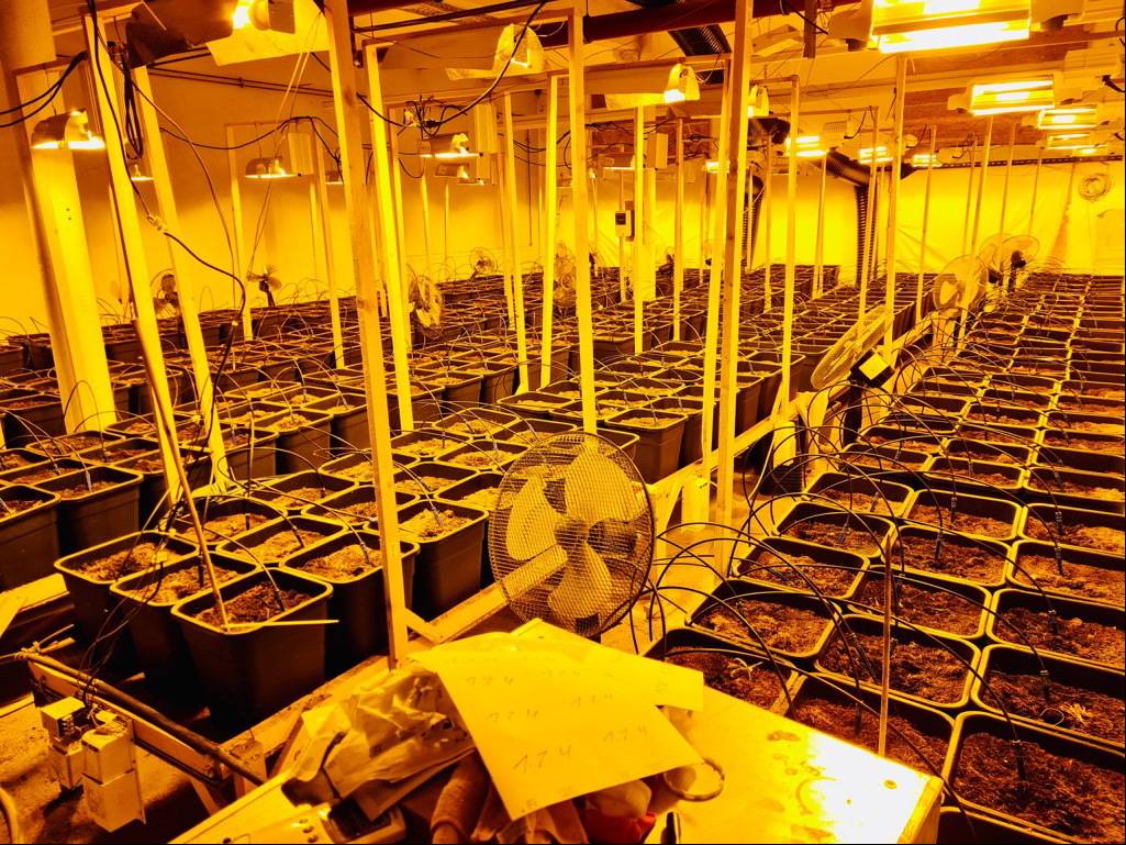  Sie wurde professionell betrieben. 