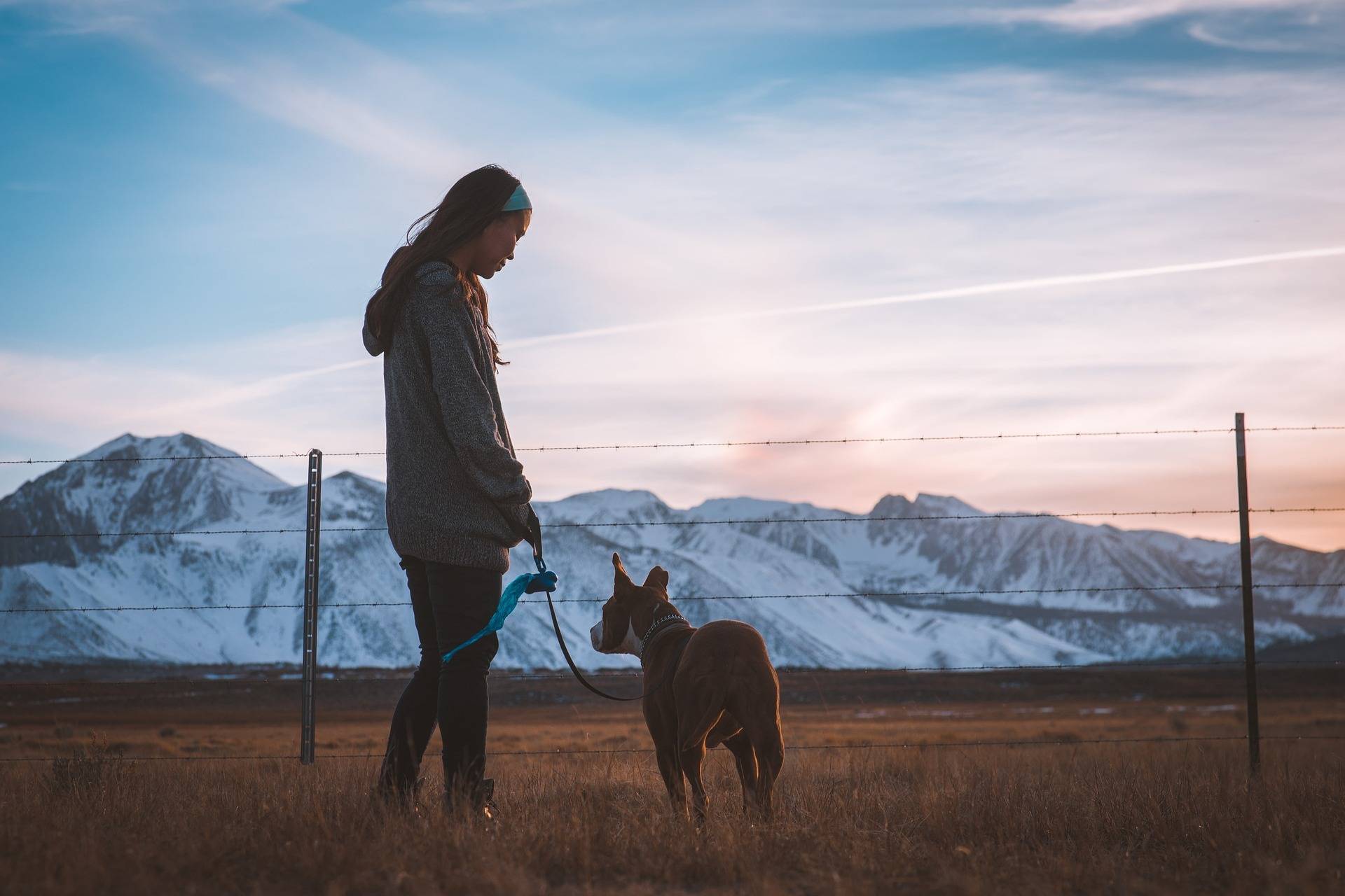 Mit Ihrem Hund an der Leine spazieren zu gehen, ist für Sie beide sicherer – und macht mehr Spaß!