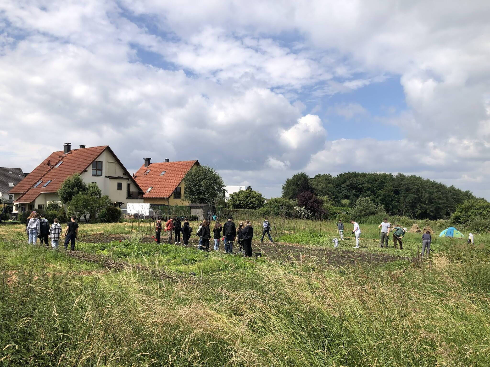  Das Permakulturfeld auf Gut Einern. 