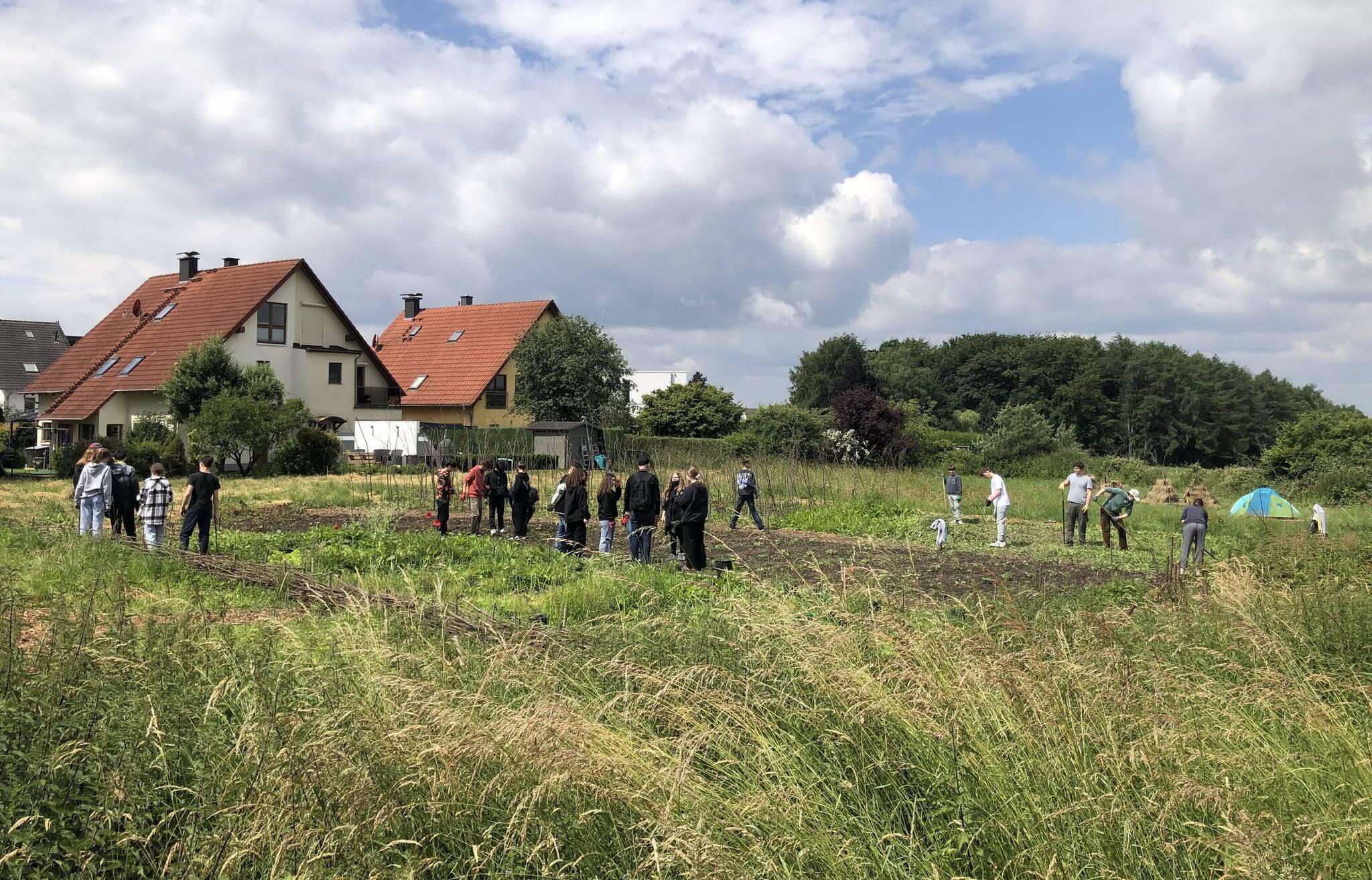 Das Permakulturfeld auf Gut Einern.