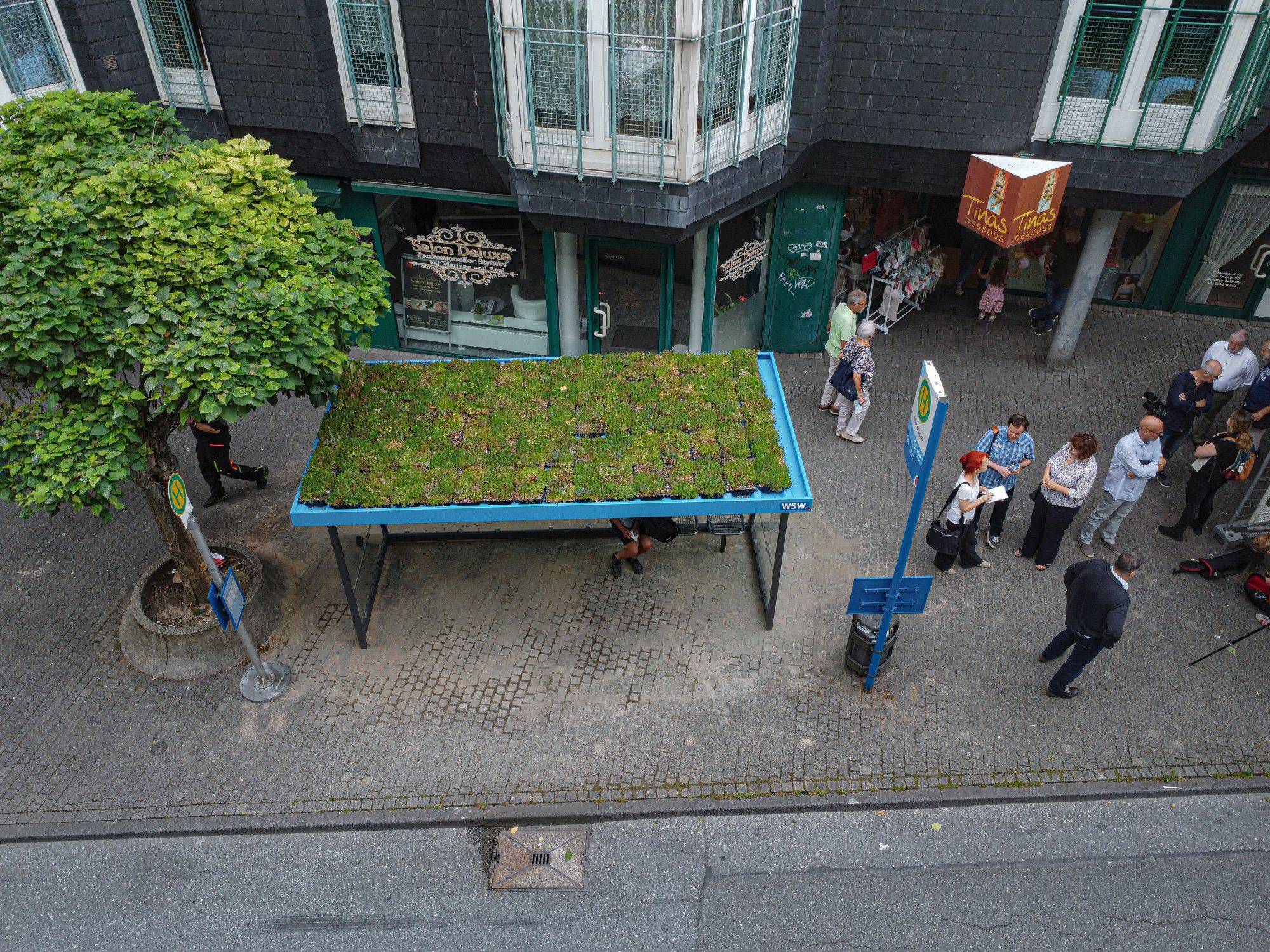  Dachbegrünung an der Bushaltestelle Loher Straße. 