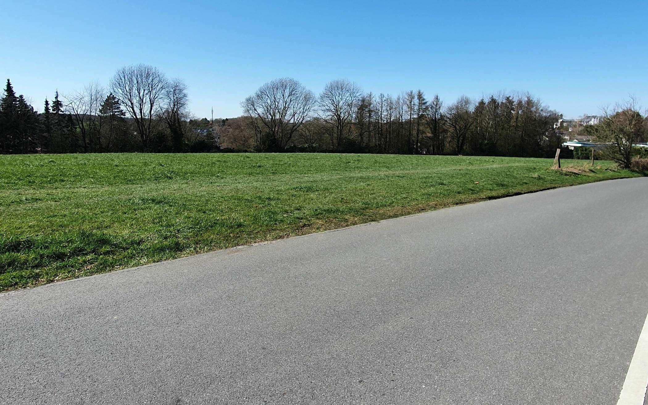 Um die auf dieser Wiese am