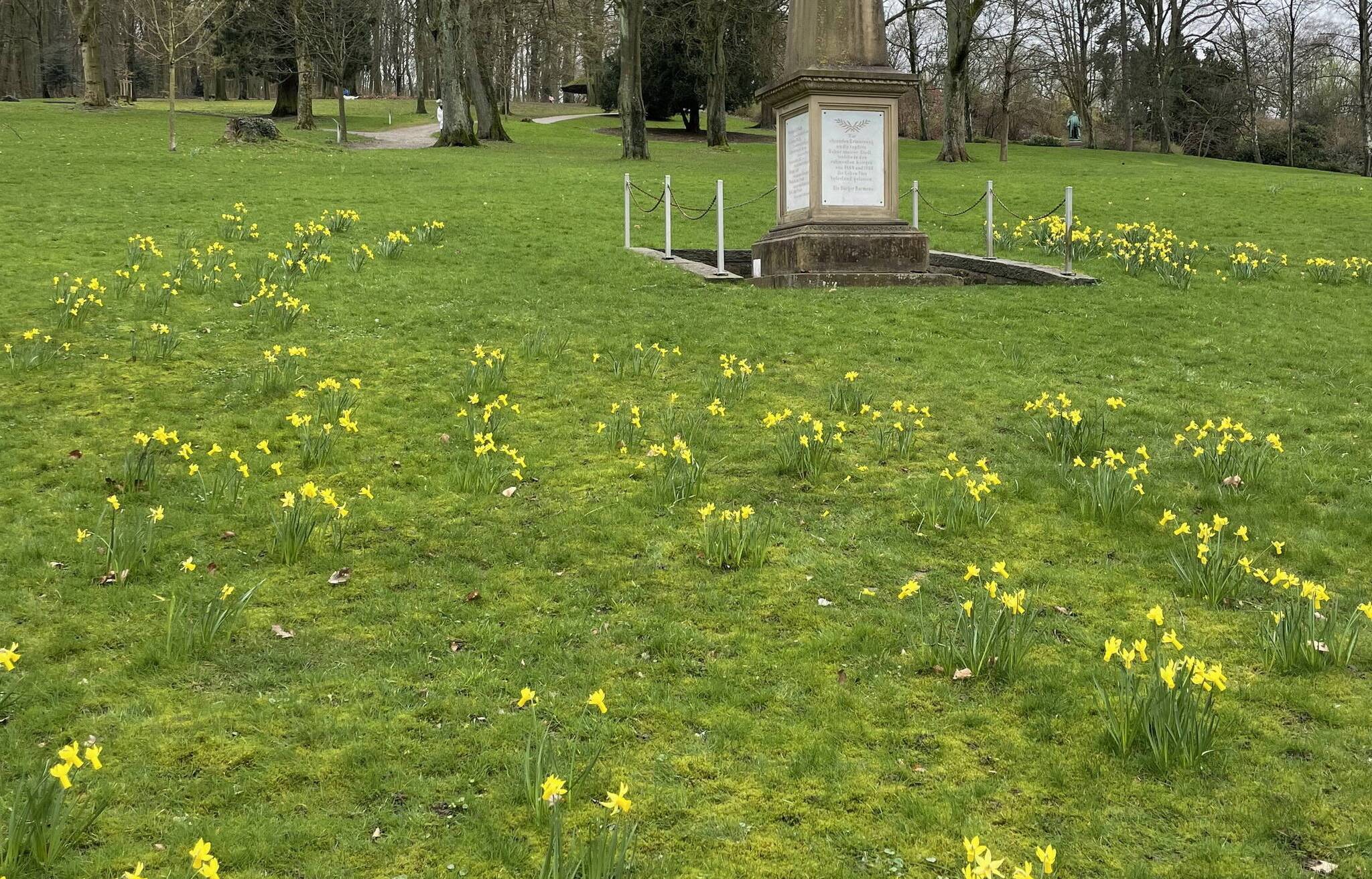 Die gelben Narzissen rund um den Obelisken, das älteste Denkmal, in den oberen Anlagen leiten alljährlich den nahenden Frühling ein.