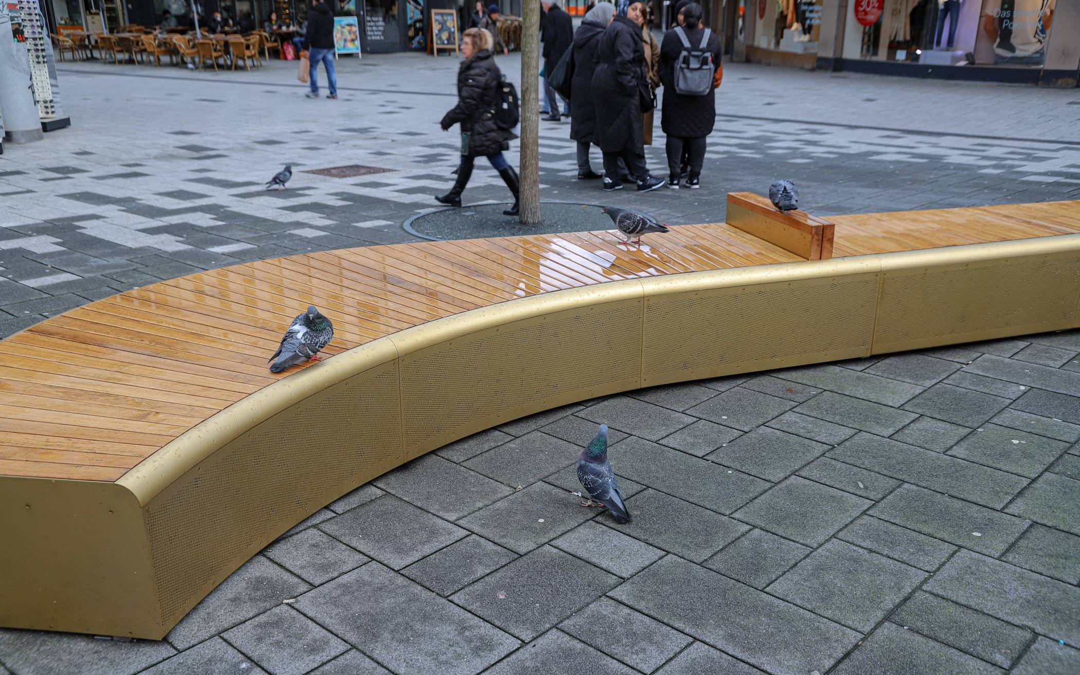 Tauben in der Elberfelder Innenstadt.