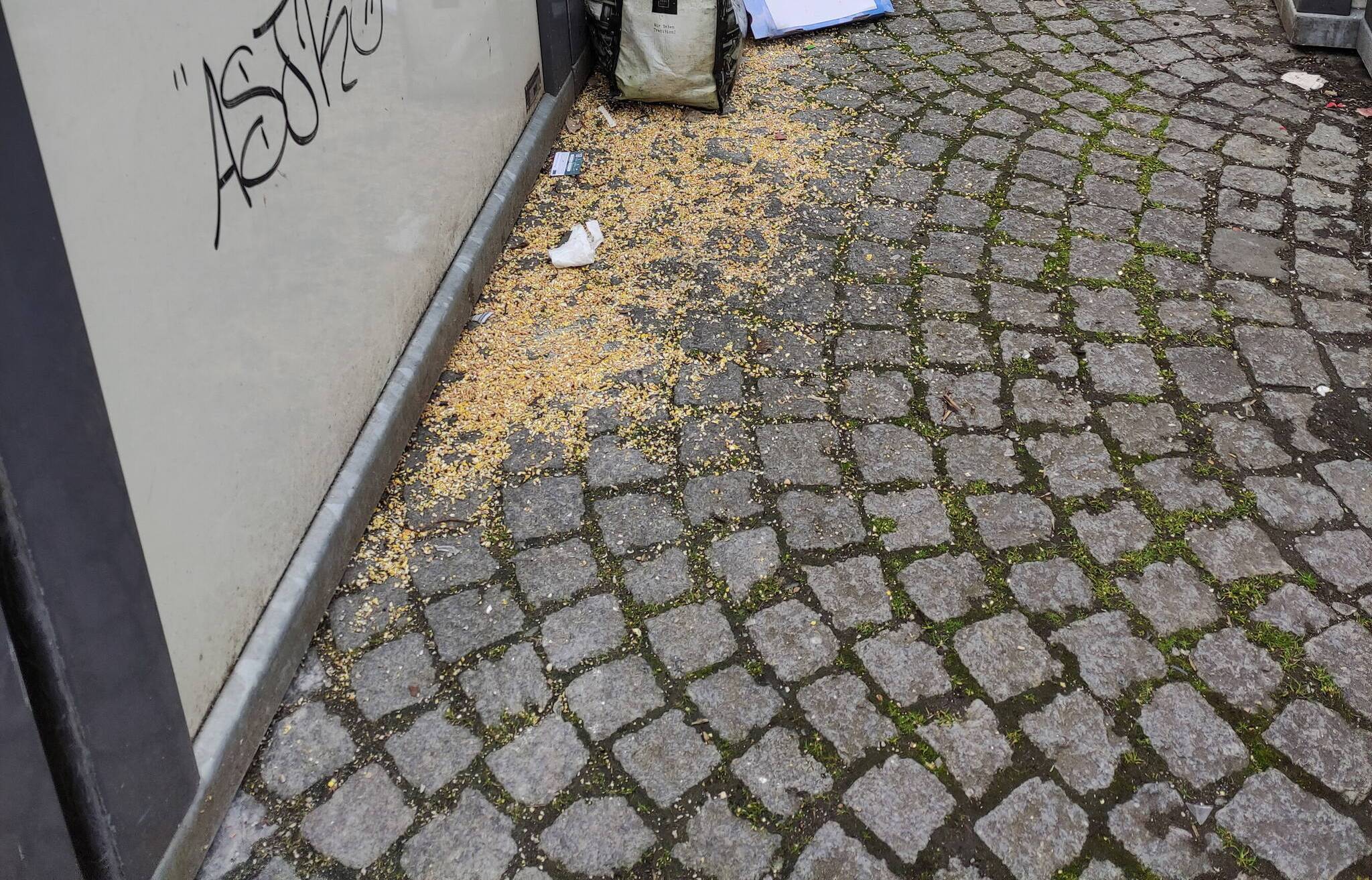  Müll und Taubenfutter am Containerstandort Lienhardplatz in Vohwinkel.  