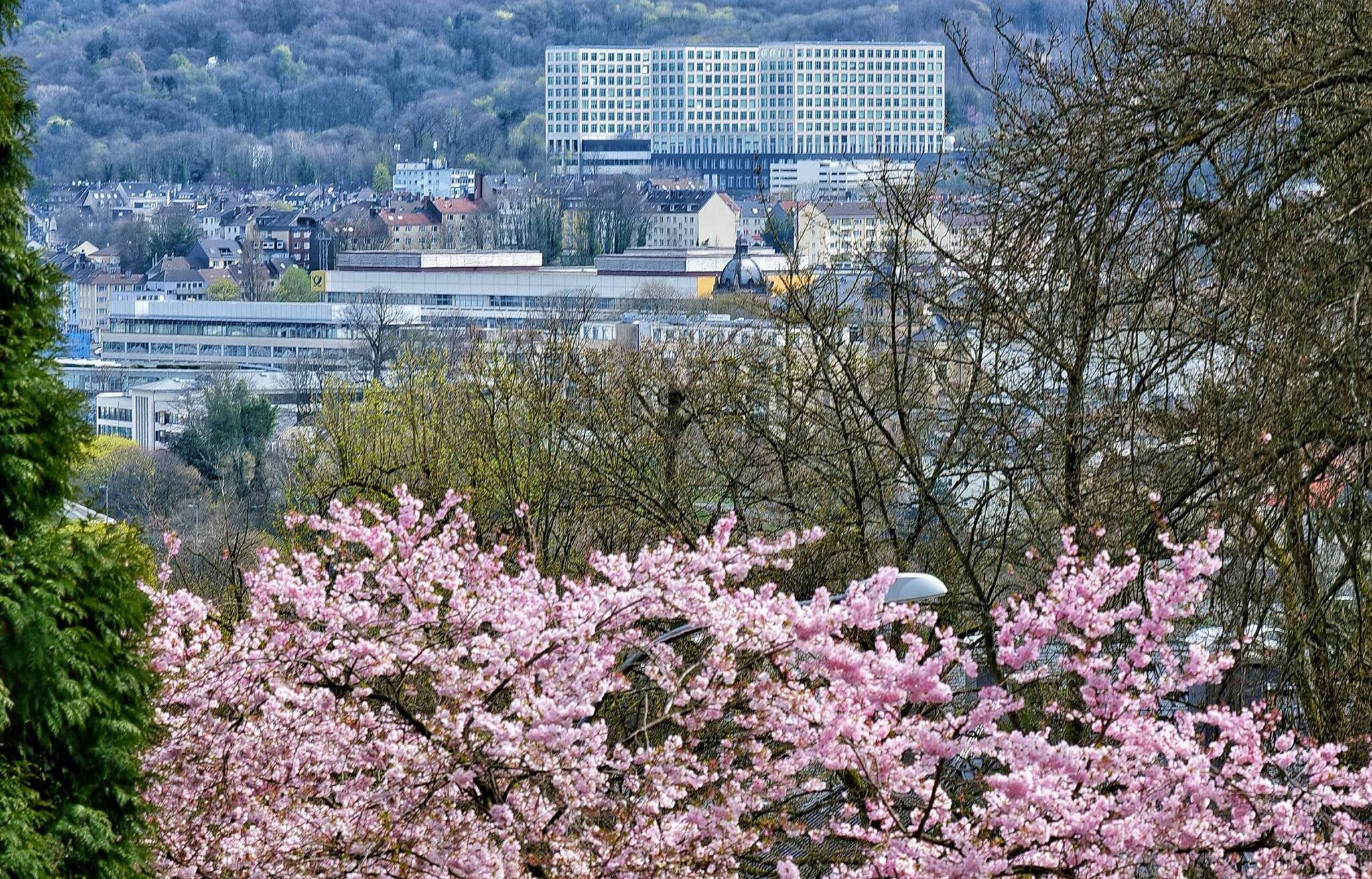Bilderstrecke: Frühling in Wuppertal​