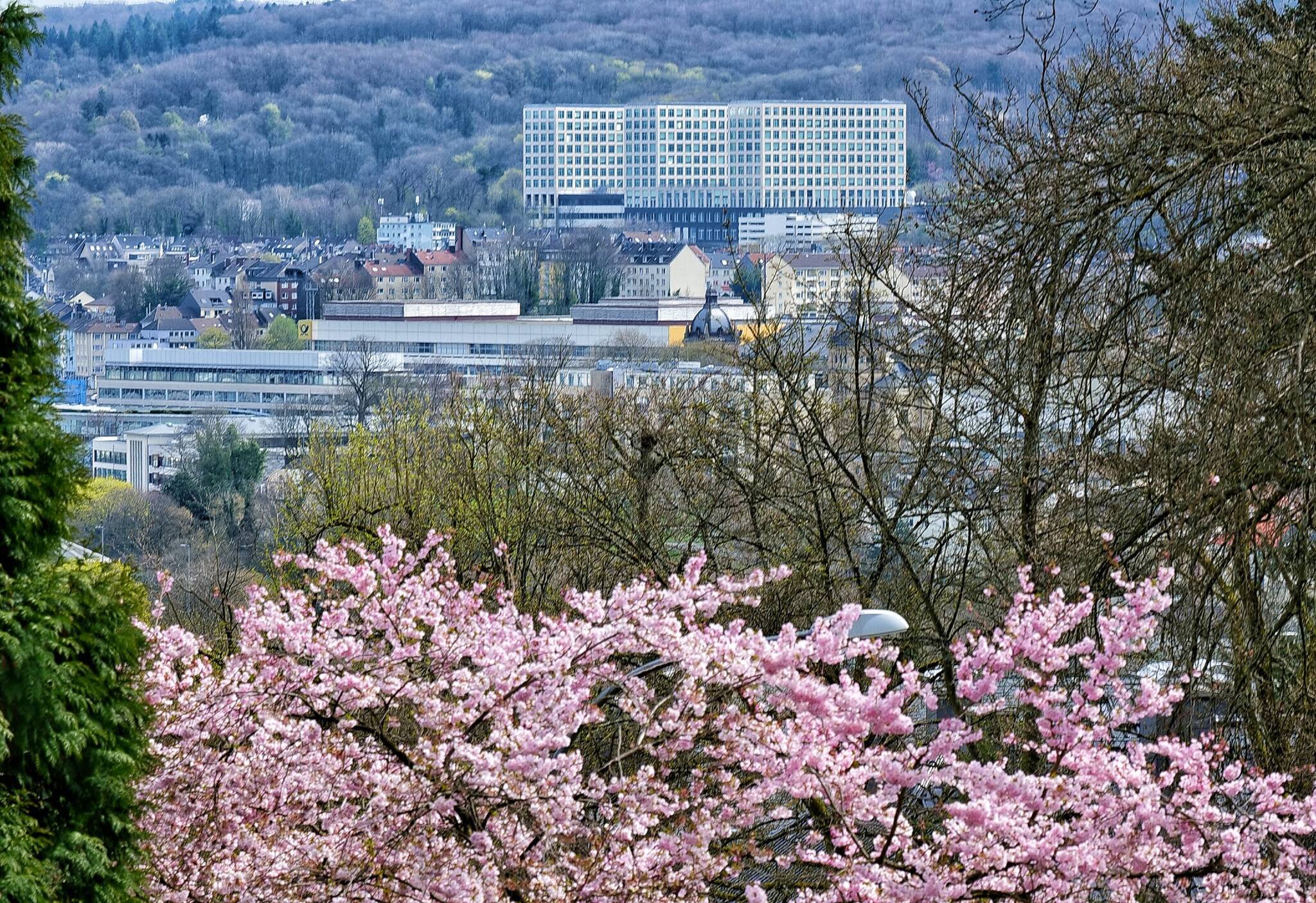 Bilderstrecke Frühling in Wuppertal