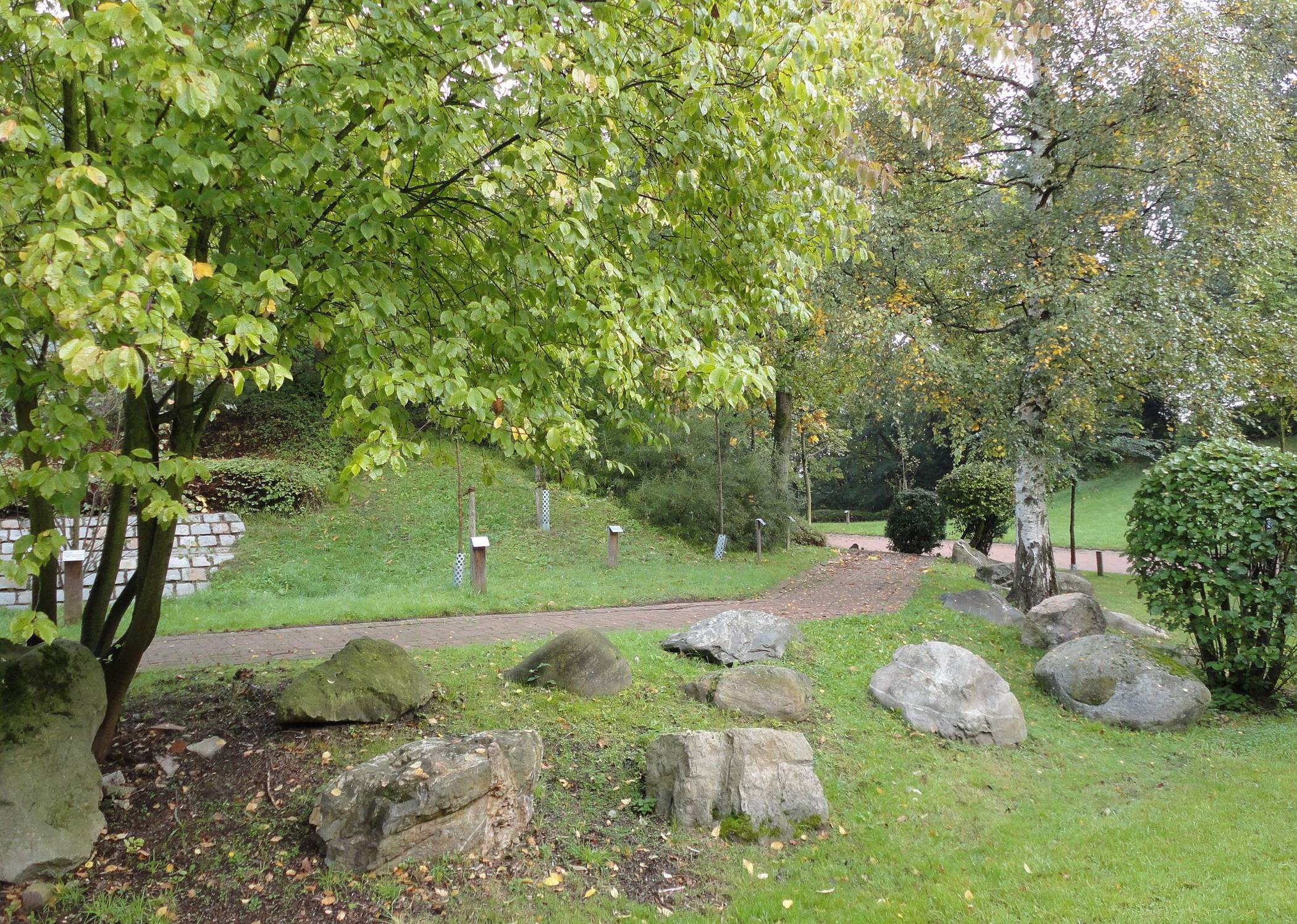 Blick ins Arboretum.